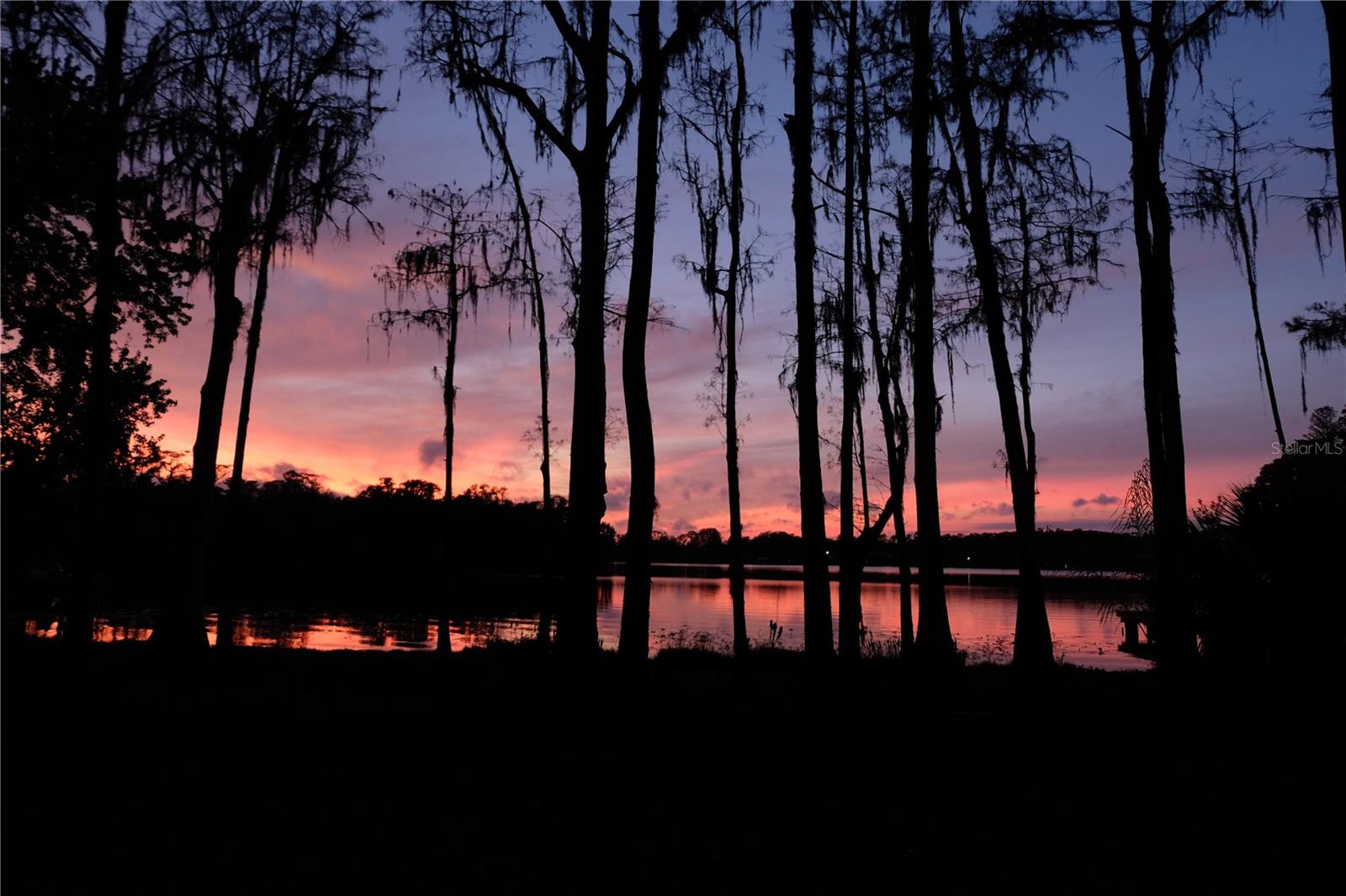 Single Family Residence em ODESSA, FL - Daniel Dourado