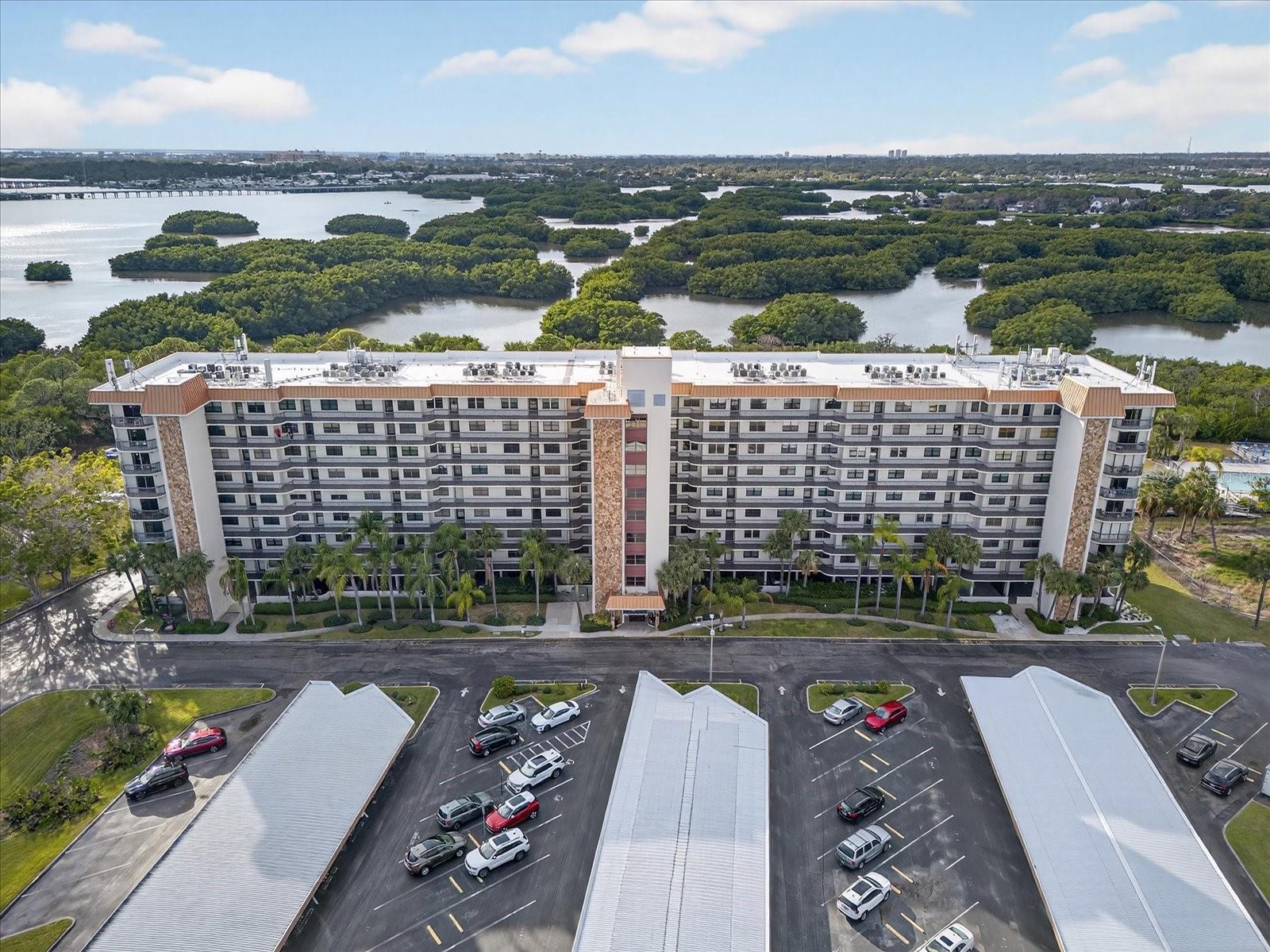 Condominium em ST PETERSBURG, FL - Daniel Dourado