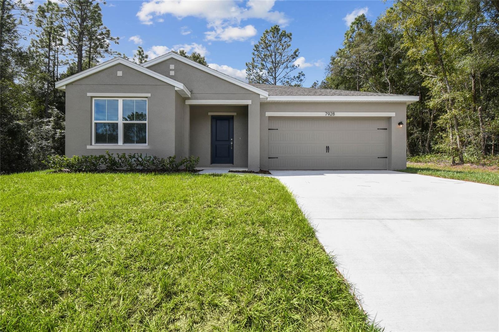 Single Family Residence em CITRUS SPRINGS, FL - Daniel Dourado