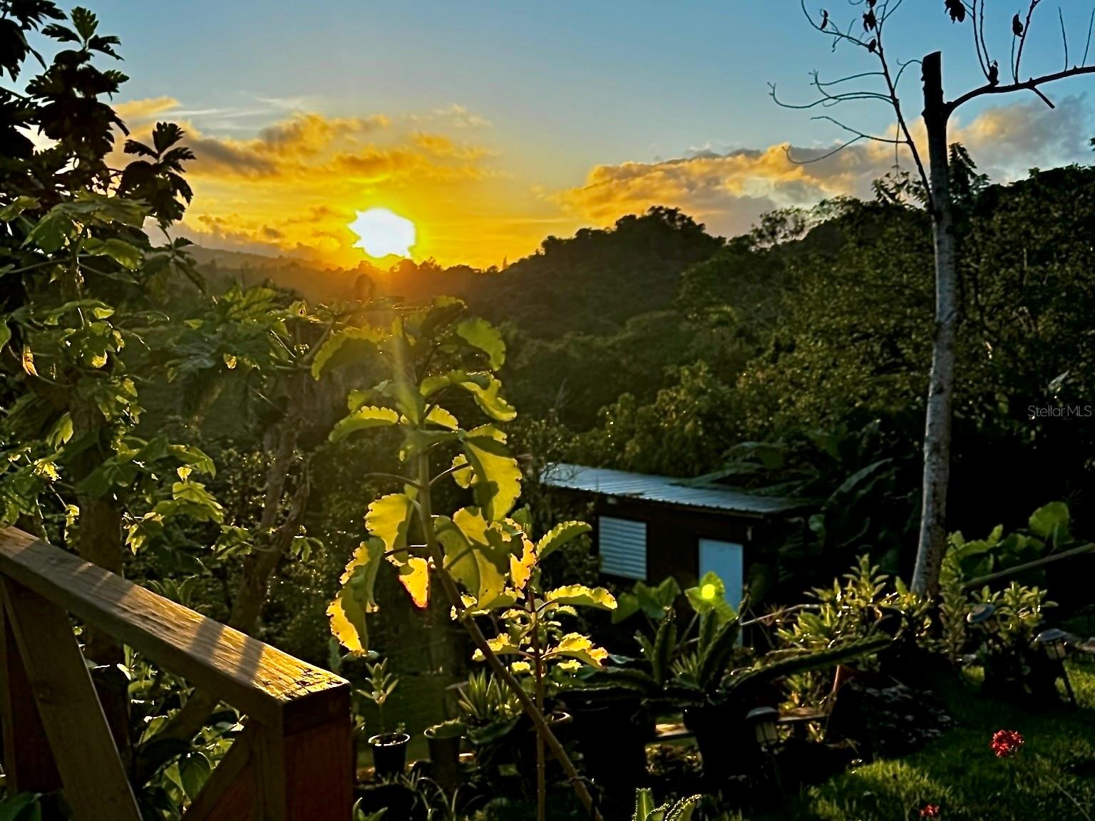 Single Family Residence em UTUADO, PR - Daniel Dourado