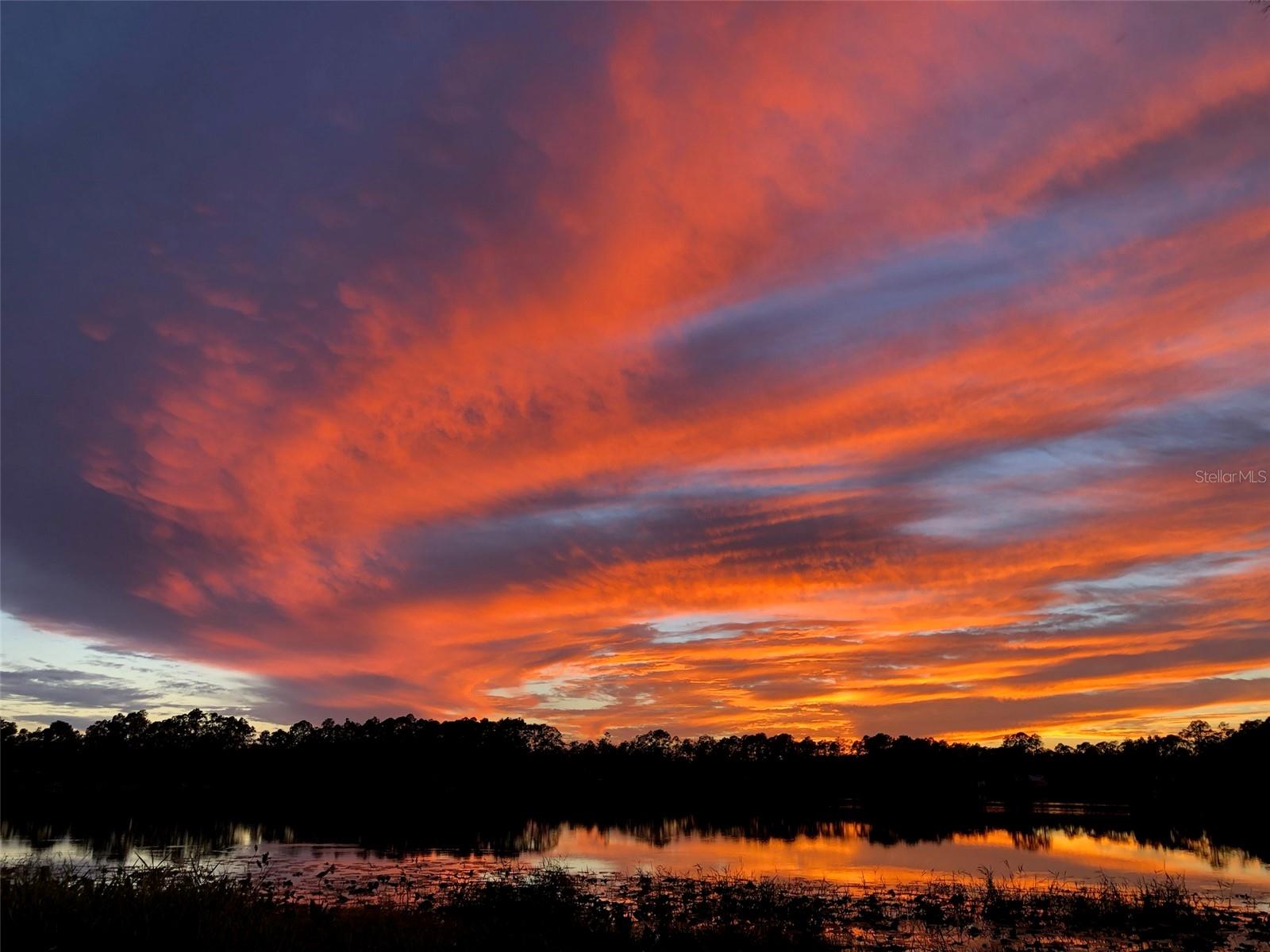 Single Family Residence em HAWTHORNE, FL - Daniel Dourado