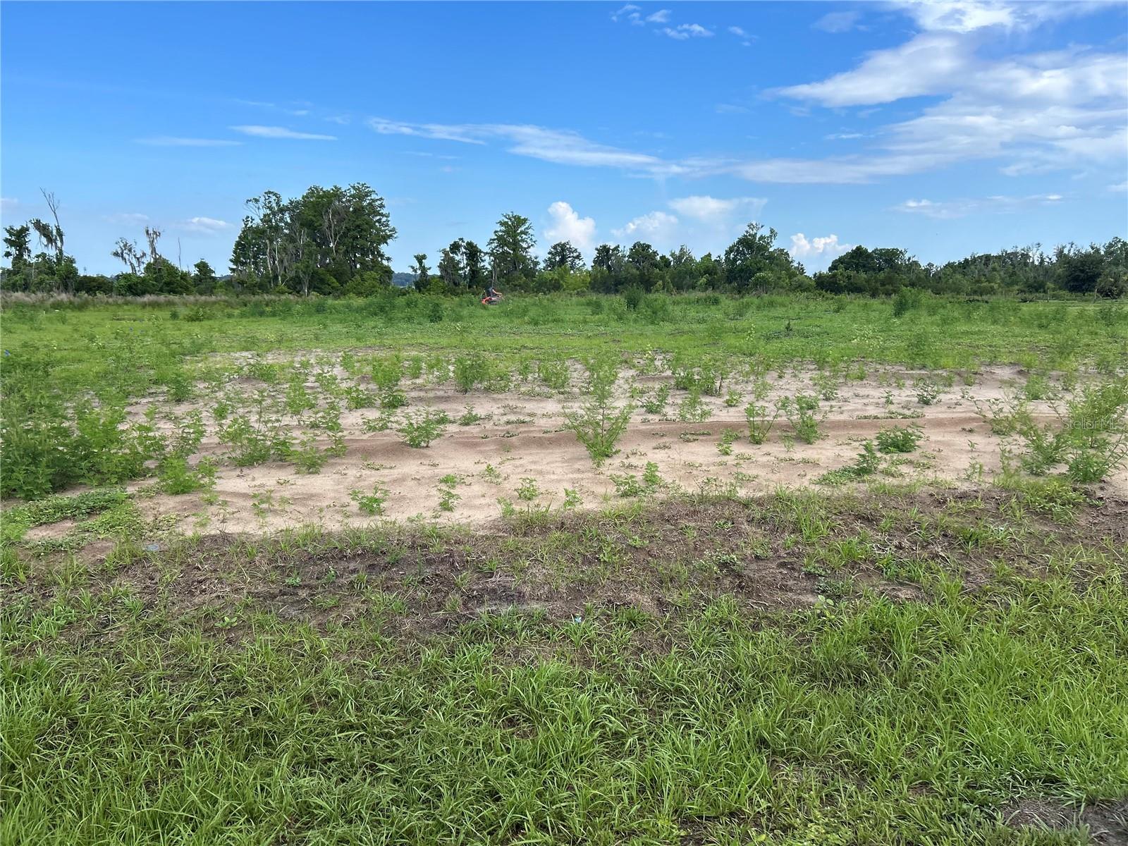 Single Family Residence em ASTATULA, FL - Daniel Dourado