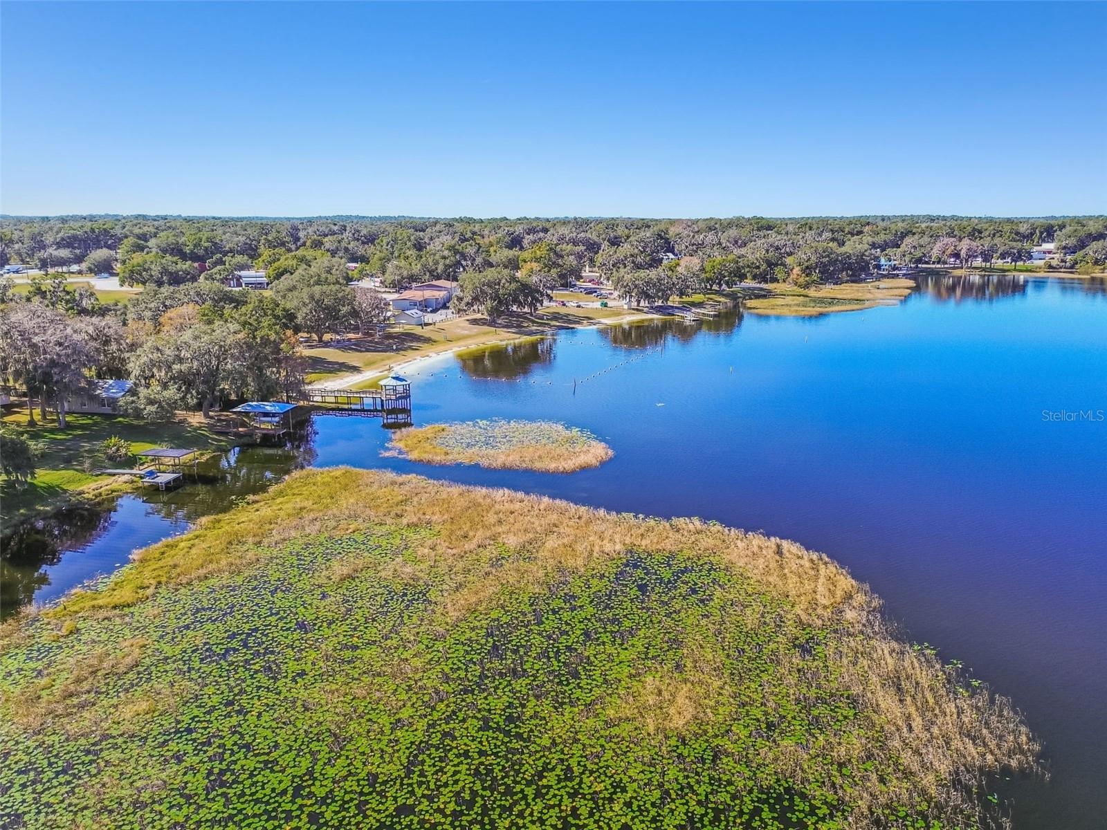 Single Family Residence in HERNANDO, FL - Daniel Dourado