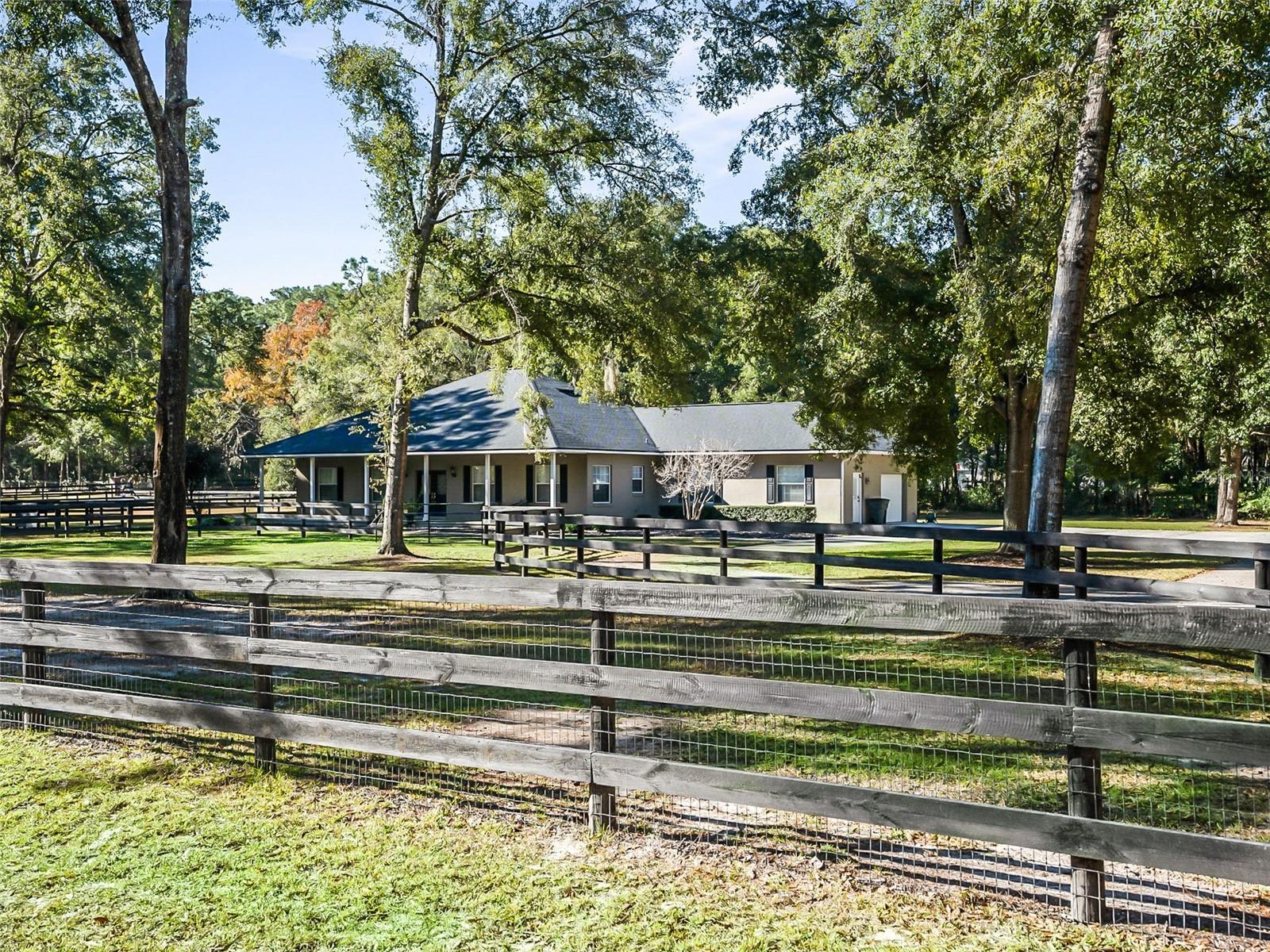 Single Family Residence in OCALA, FL - Daniel Dourado