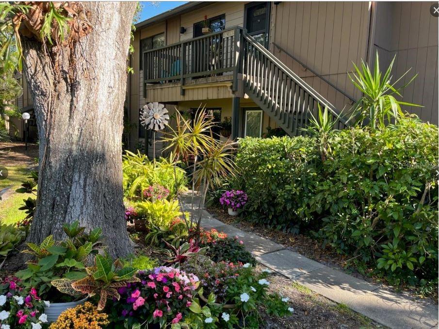 Condominium em SARASOTA, FL - Daniel Dourado