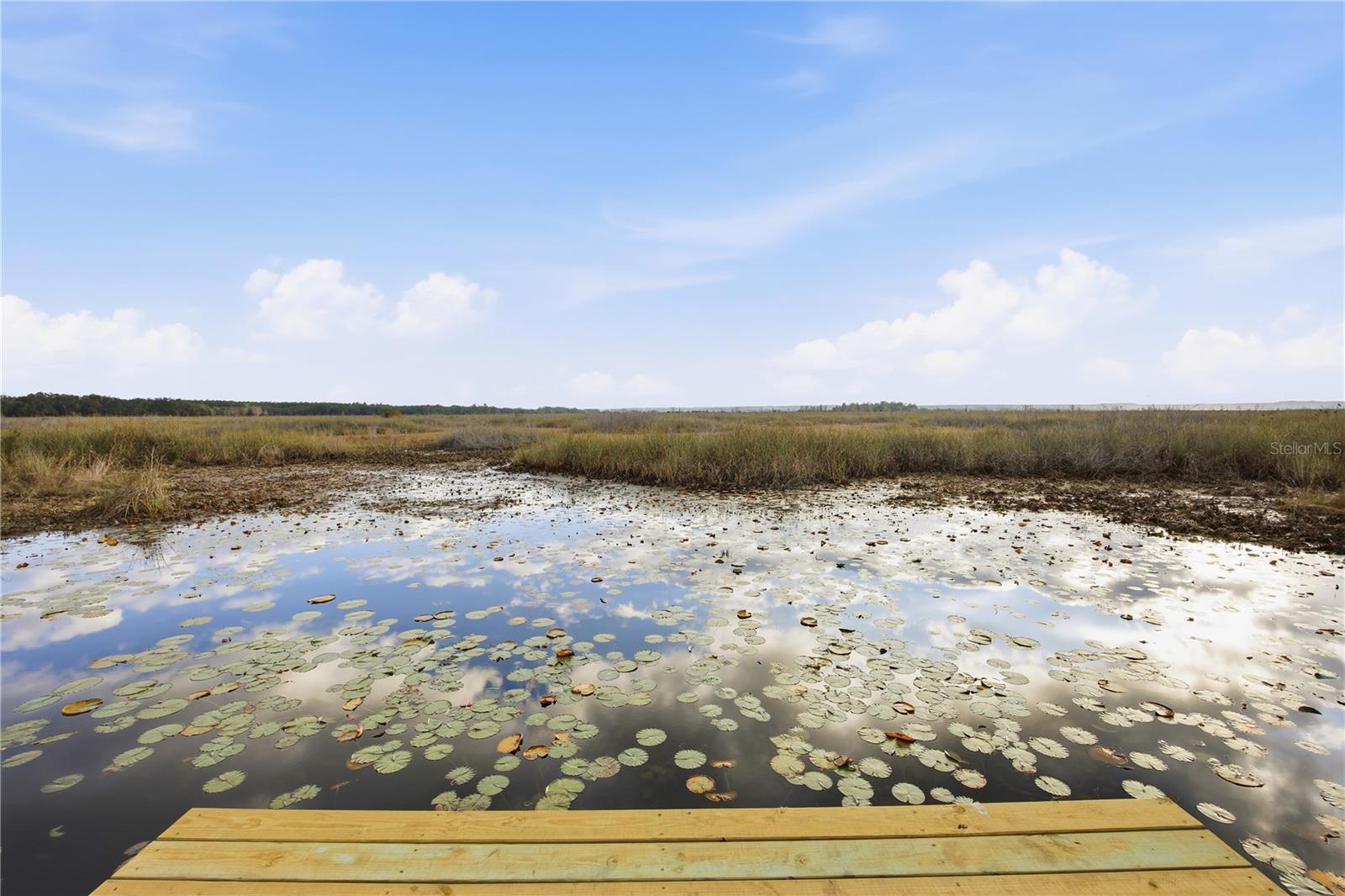 Single Family Residence em SALT SPRINGS, FL - Daniel Dourado