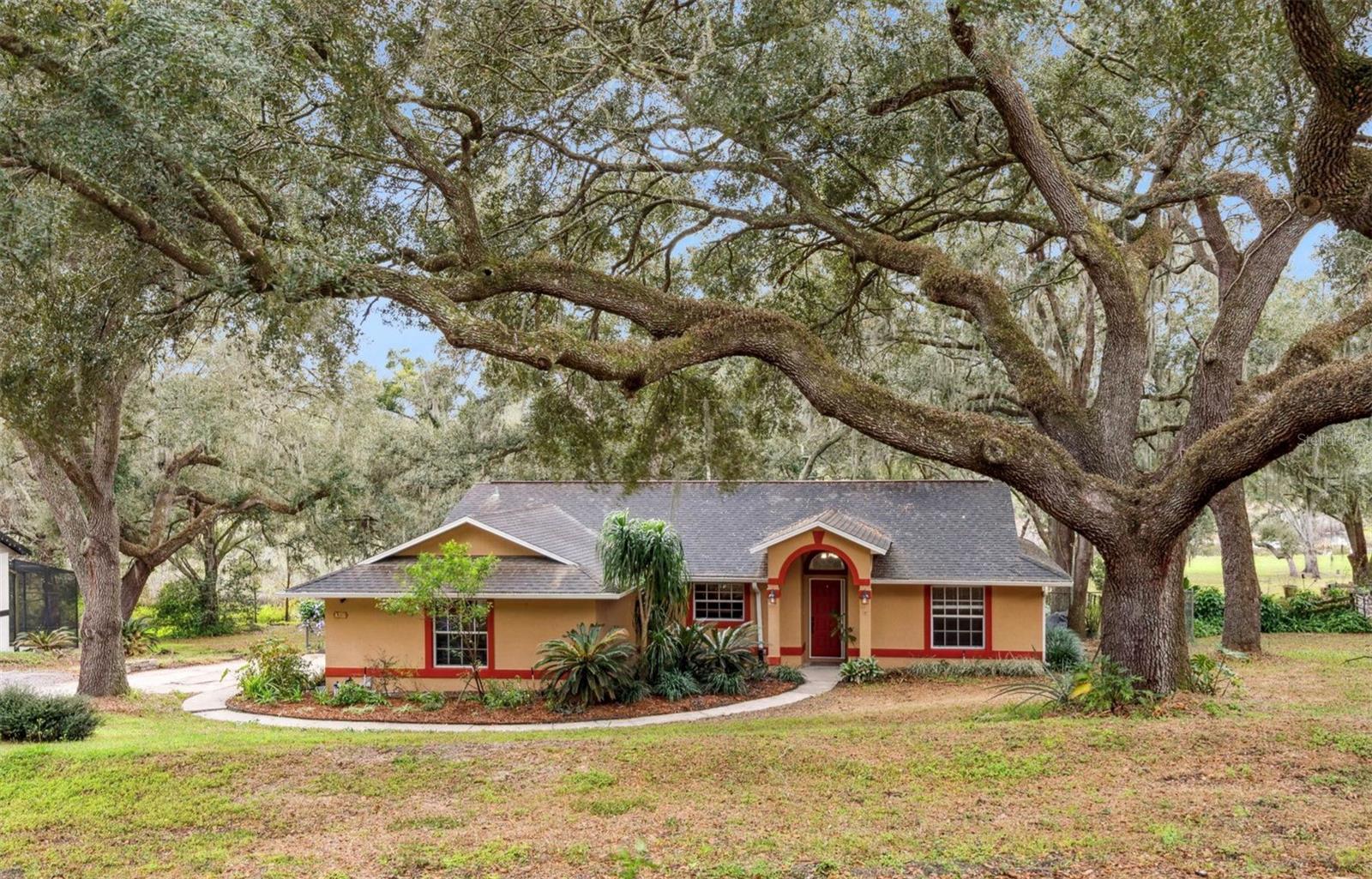 Single Family Residence in MOUNT DORA, FL - Daniel Dourado
