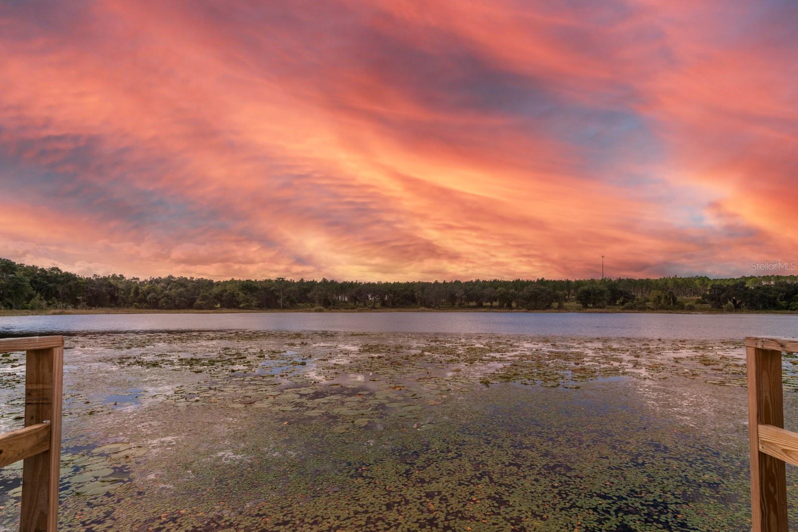 Single Family Residence in WEIRSDALE, FL - Daniel Dourado