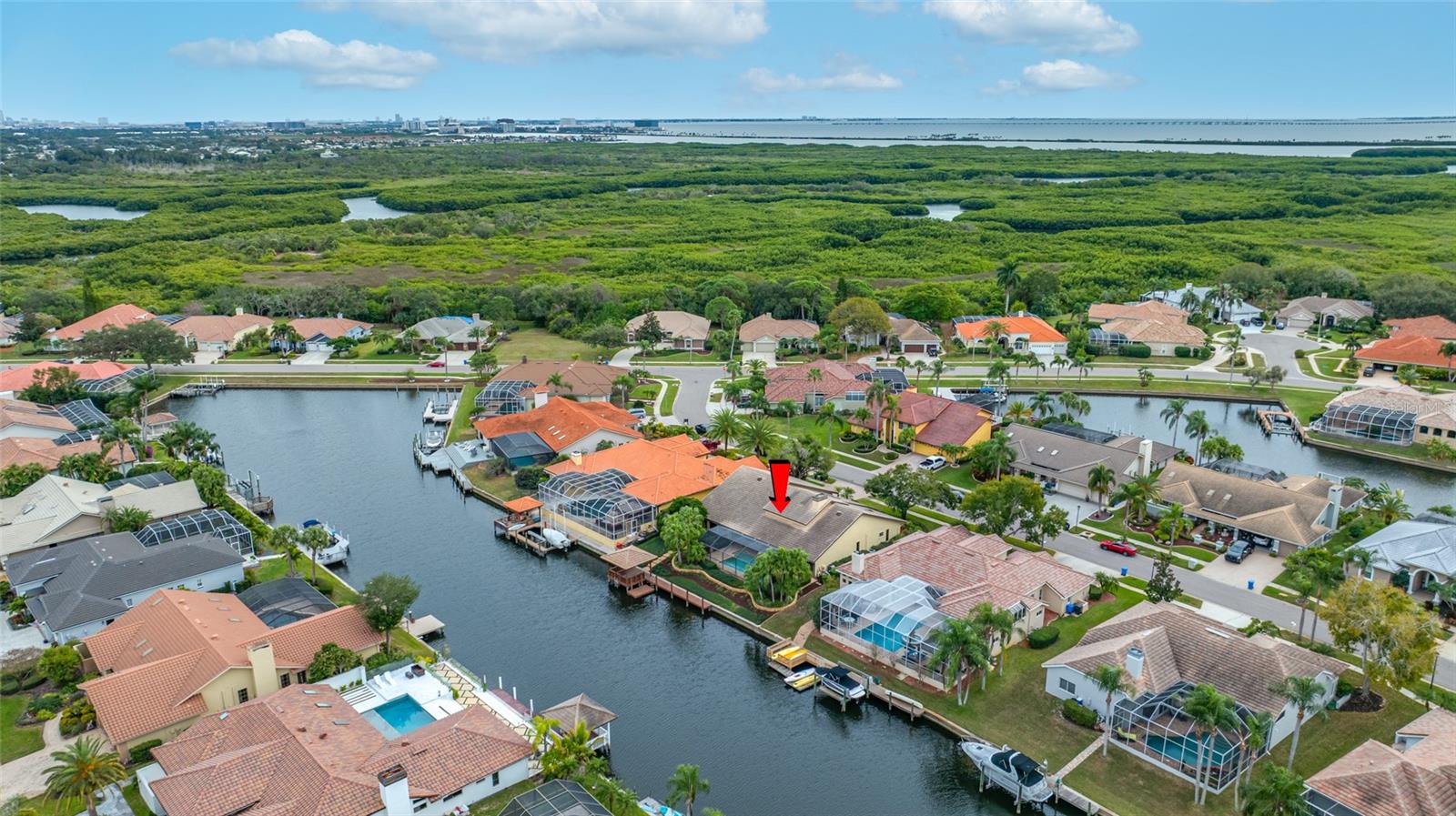 Single Family Residence in TAMPA, FL - Daniel Dourado