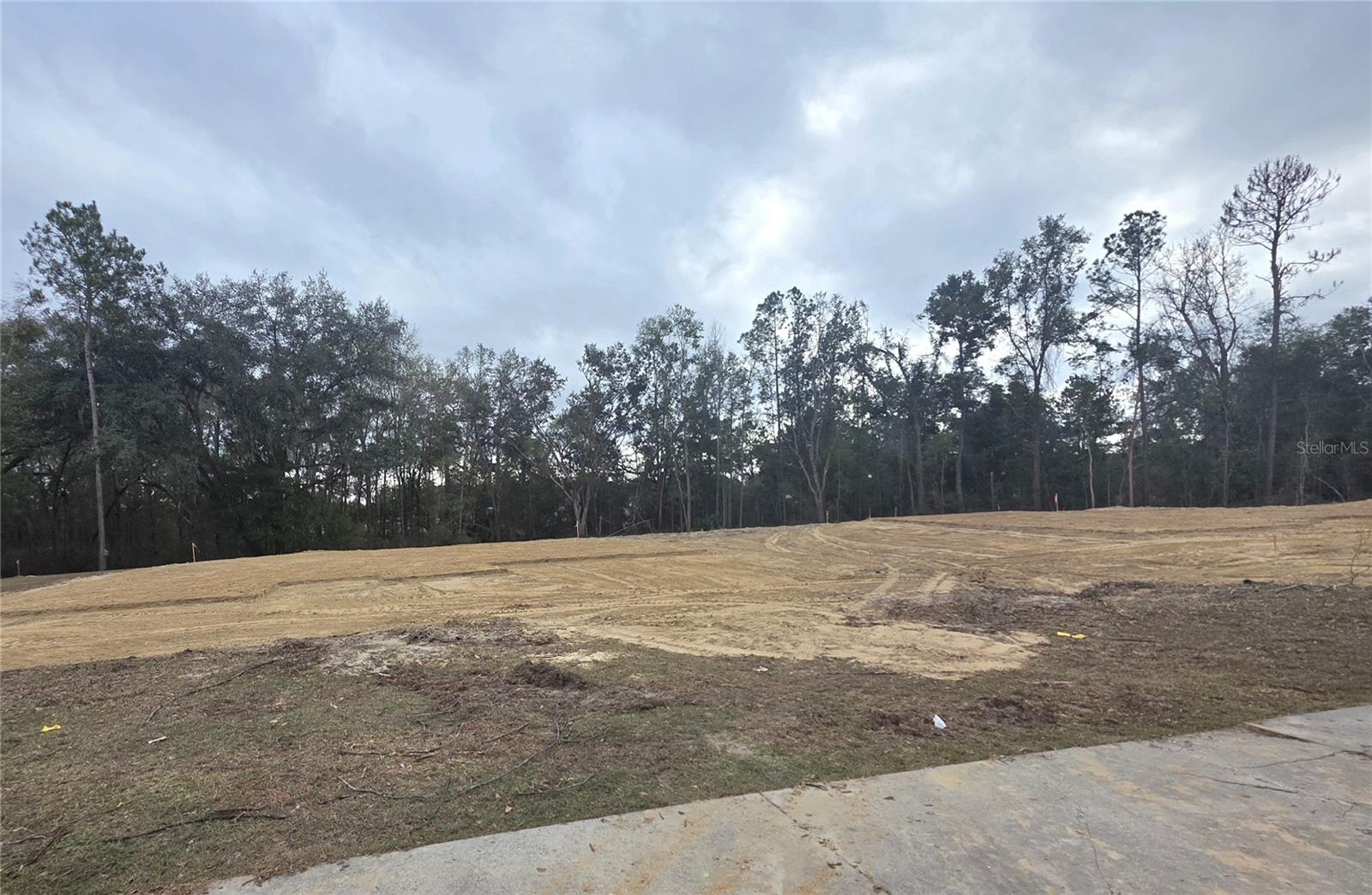 Single Family Residence in LAKE CITY, FL - Daniel Dourado