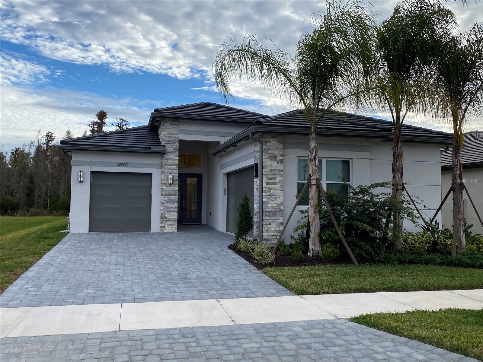 Single Family Residence in WESLEY CHAPEL, FL - Daniel Dourado