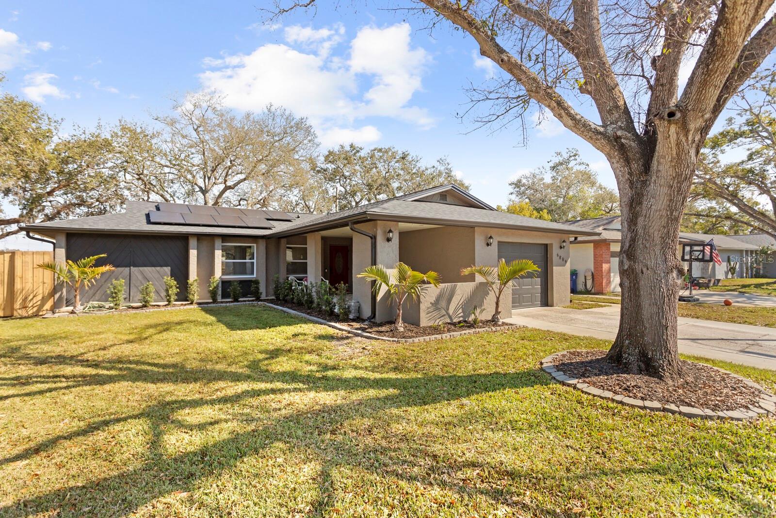 Single Family Residence em PINELLAS PARK, FL - Daniel Dourado