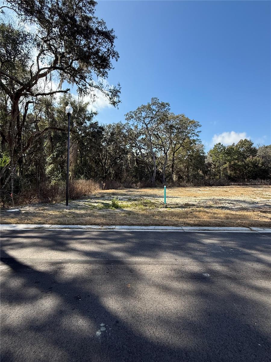 Single Family Residence em NEWBERRY, FL - Daniel Dourado