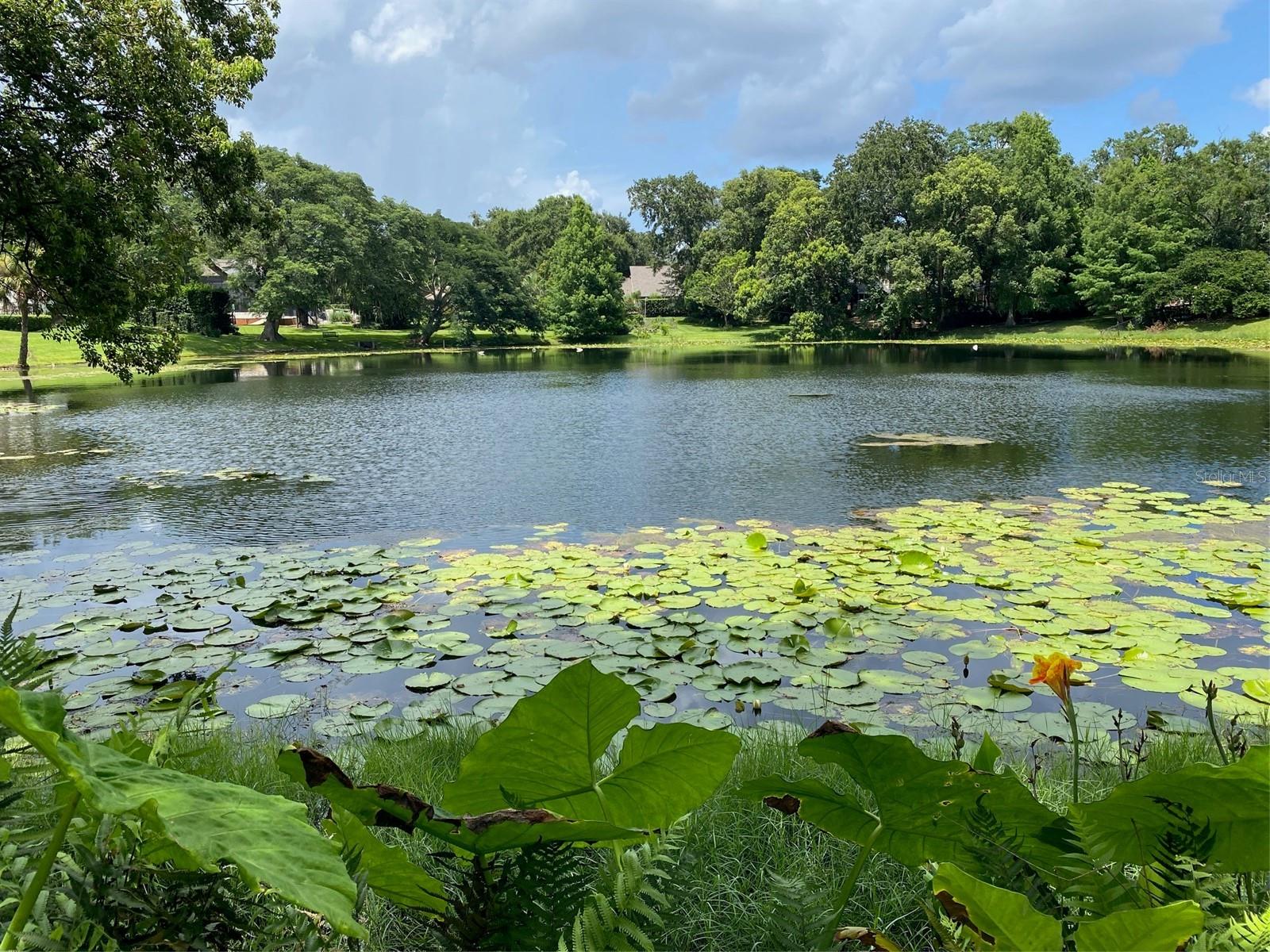 Single Family Residence em WINTER PARK, FL - Daniel Dourado