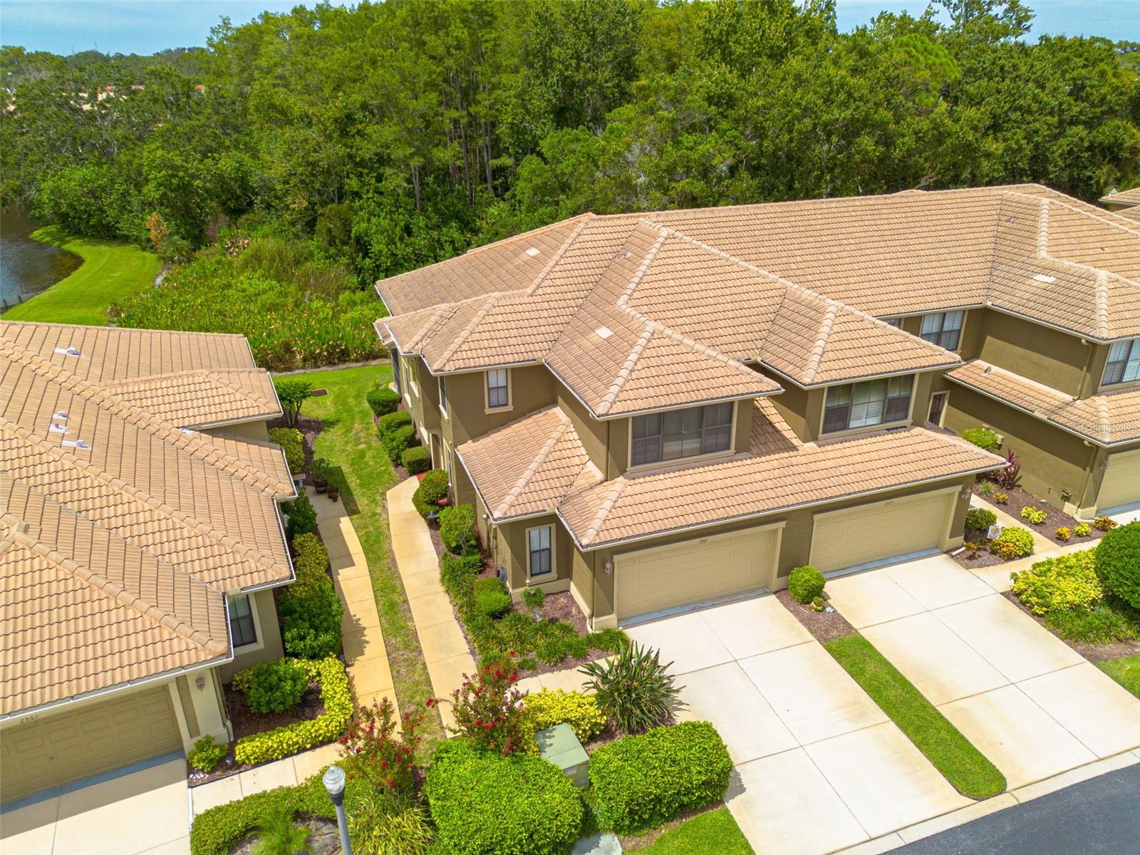 Townhouse in PALM HARBOR, FL - Daniel Dourado