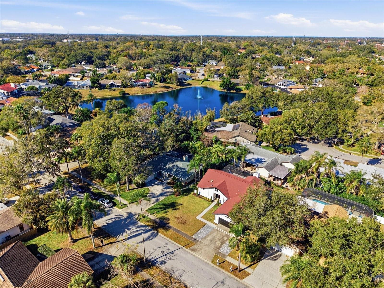 Single Family Residence in PALM HARBOR, FL - Daniel Dourado