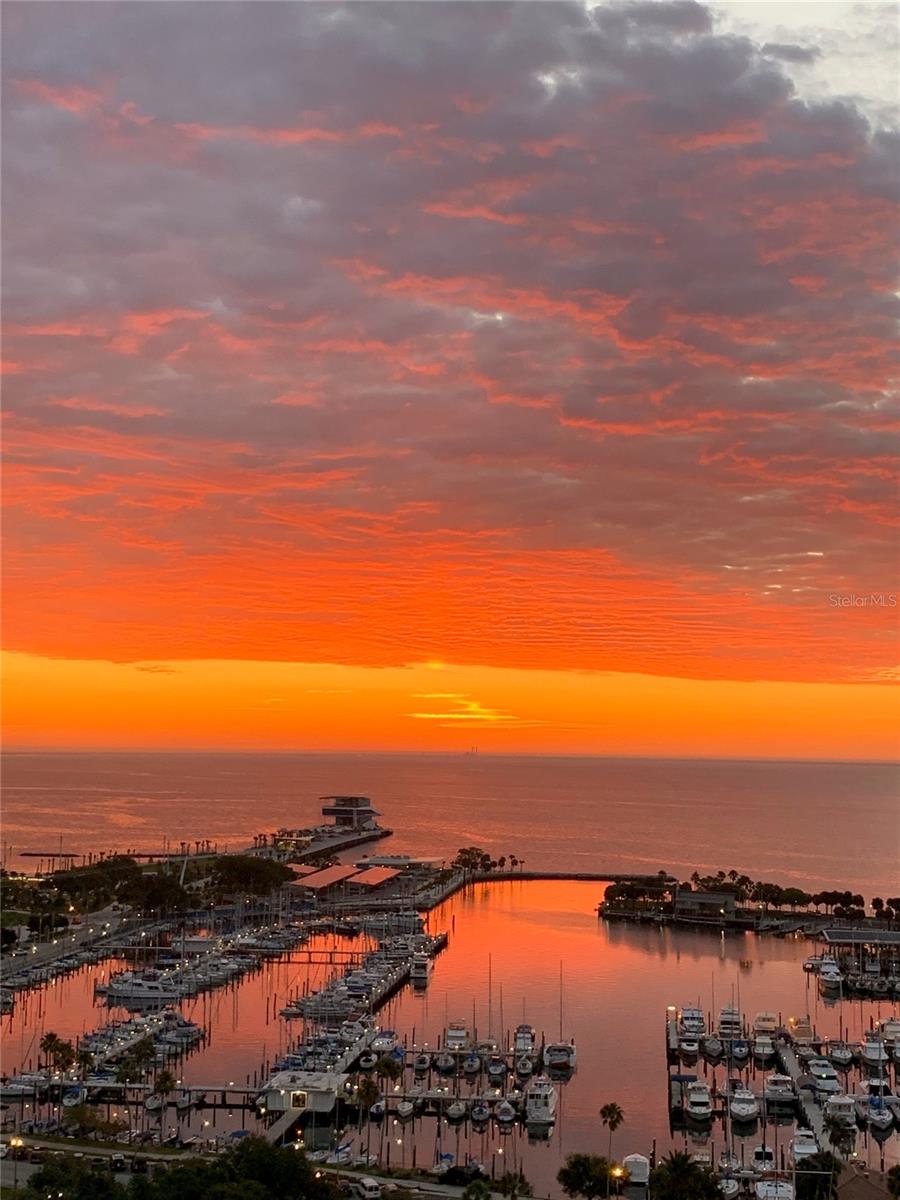 Condominium em ST PETERSBURG, FL - Daniel Dourado