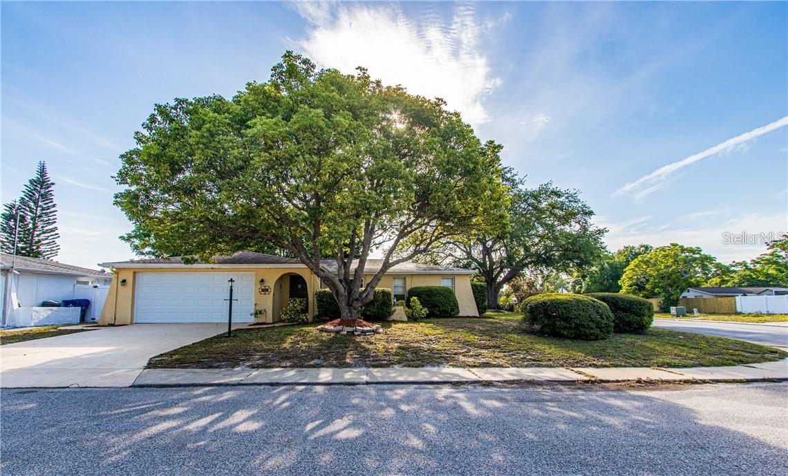 Single Family Residence in PORT RICHEY, FL - Daniel Dourado