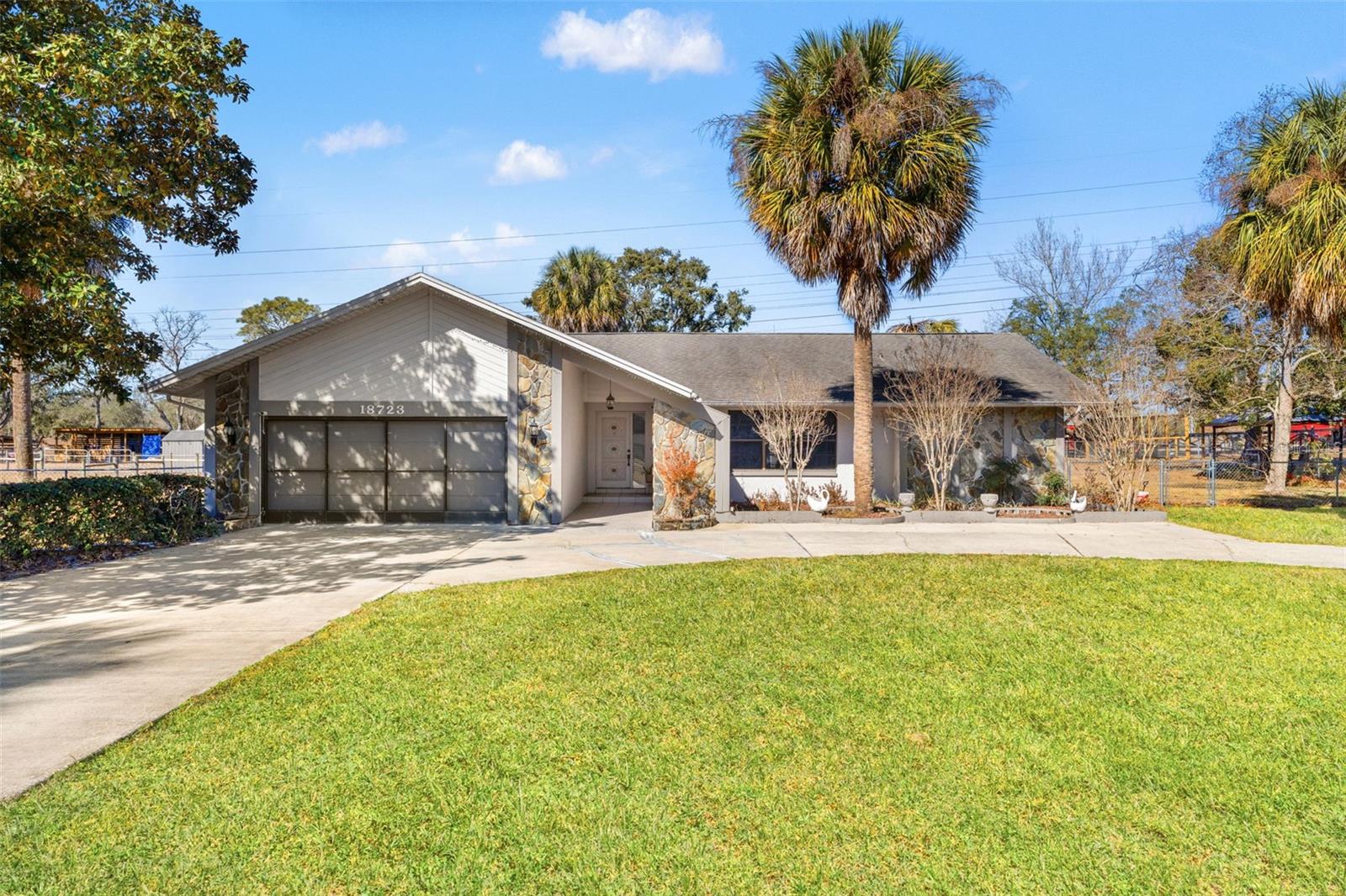 Single Family Residence em SPRING HILL, FL - Daniel Dourado