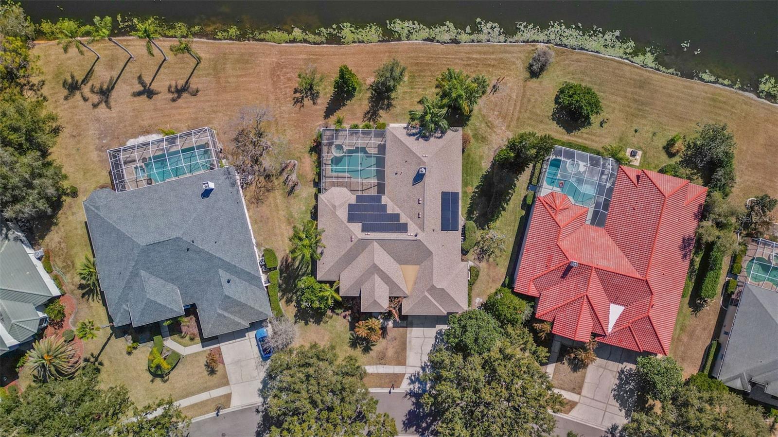 Single Family Residence em TAMPA, FL - Daniel Dourado