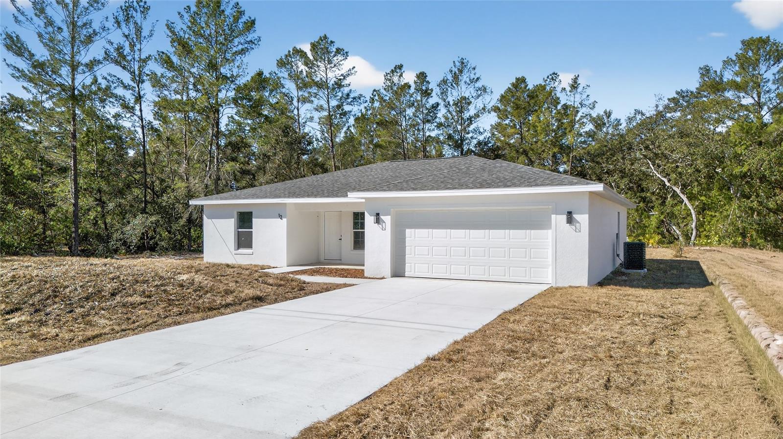 Single Family Residence em OCKLAWAHA, FL - Daniel Dourado