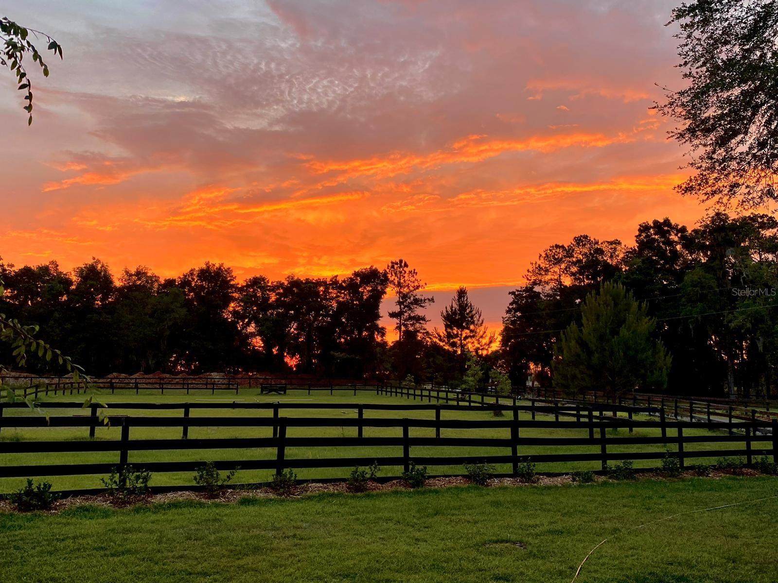 Farm em OCALA, FL - Daniel Dourado