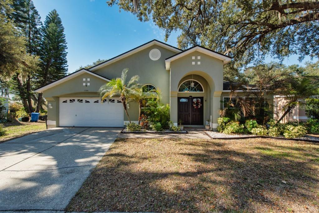 Single Family Residence in VALRICO, FL - Daniel Dourado