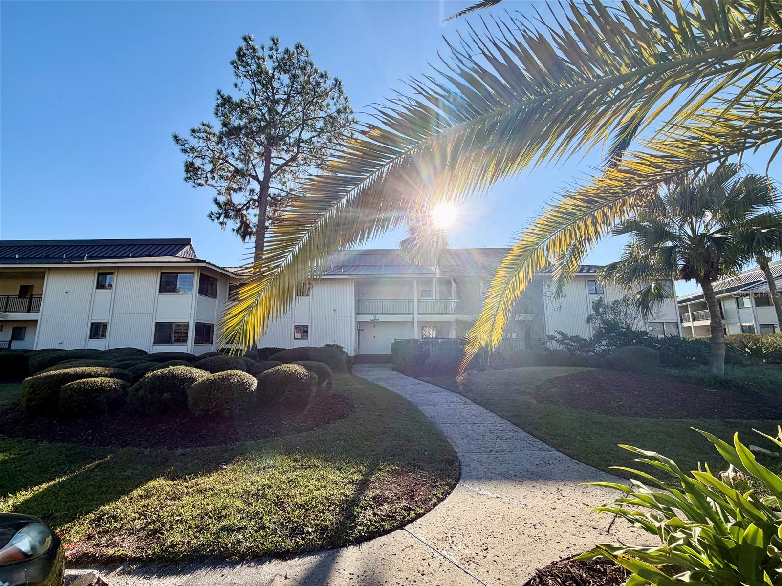 Condominium in WESLEY CHAPEL, FL - Daniel Dourado