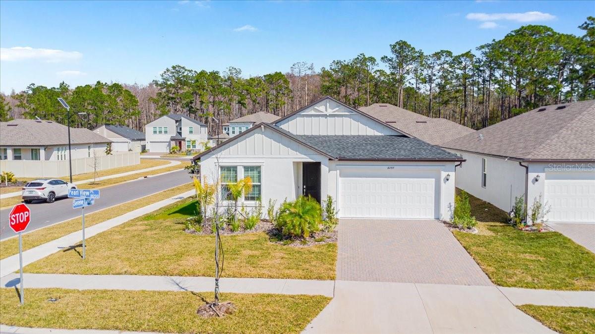 Single Family Residence in LUTZ, FL - Daniel Dourado