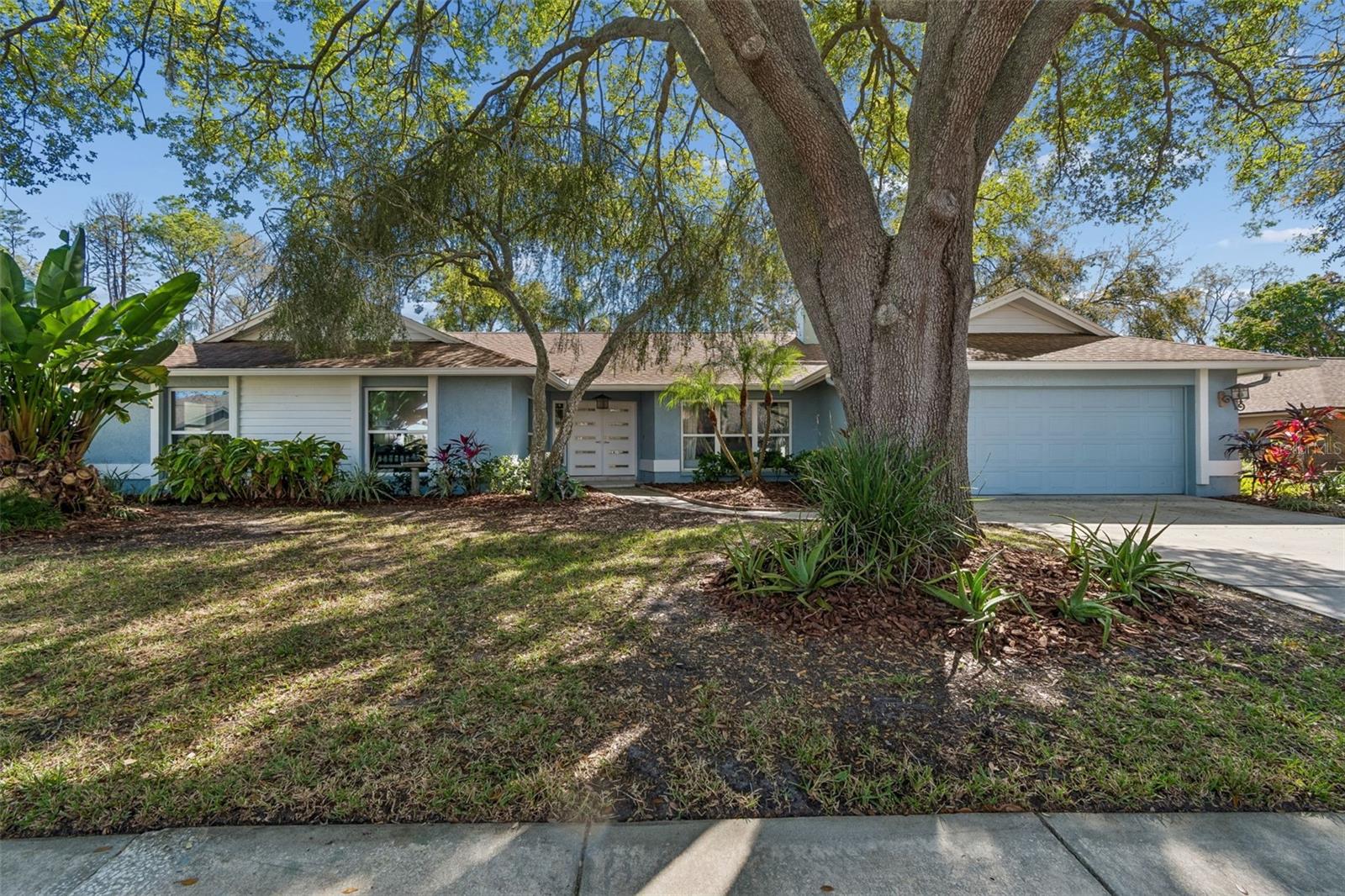 Single Family Residence in TAMPA, FL - Daniel Dourado