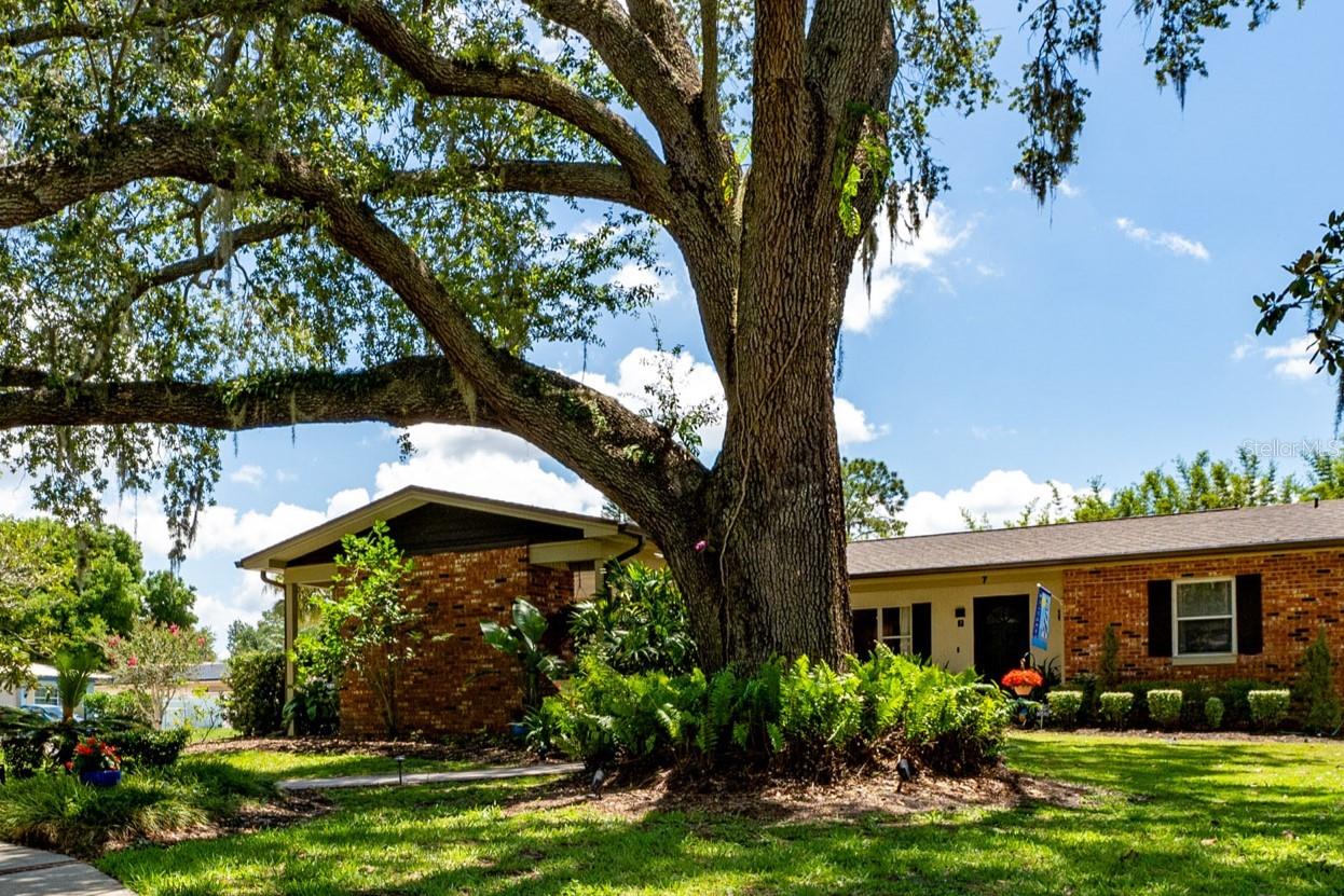 Single Family Residence in KISSIMMEE, FL - Daniel Dourado