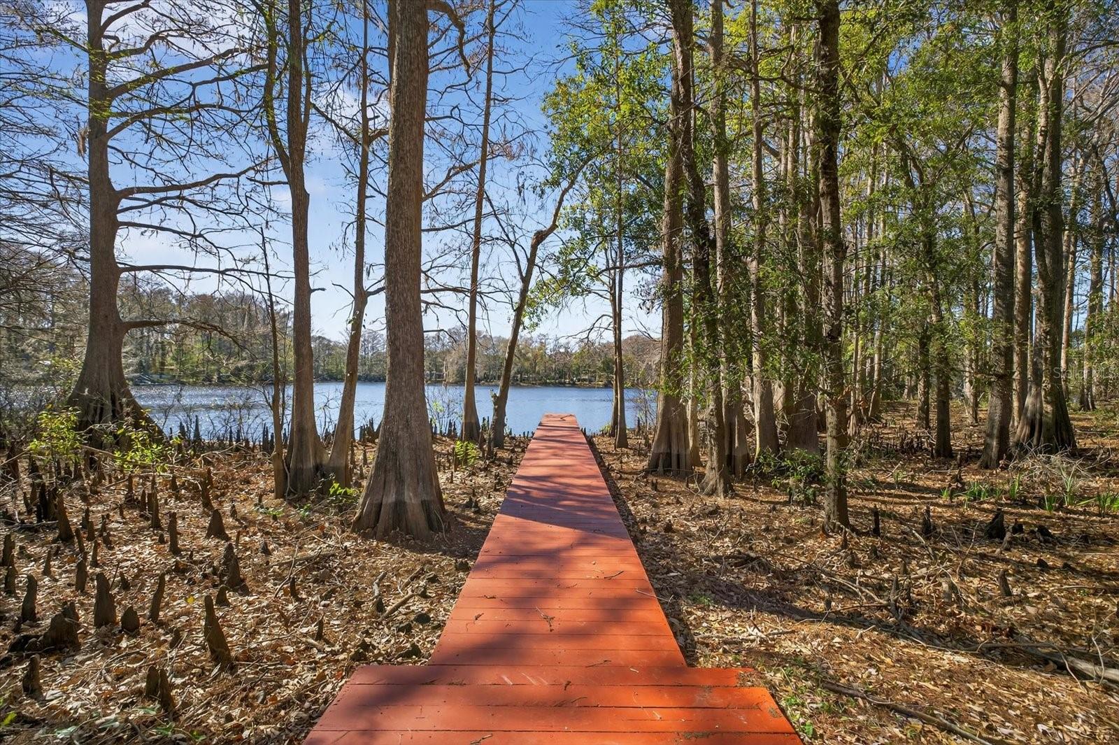 Single Family Residence in NEW PORT RICHEY, FL - Daniel Dourado