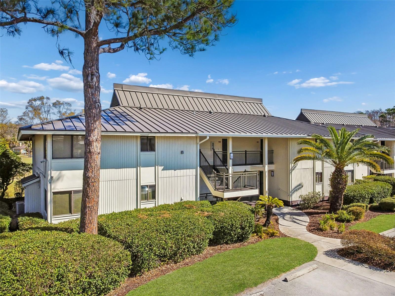 Condominium in WESLEY CHAPEL, FL - Daniel Dourado