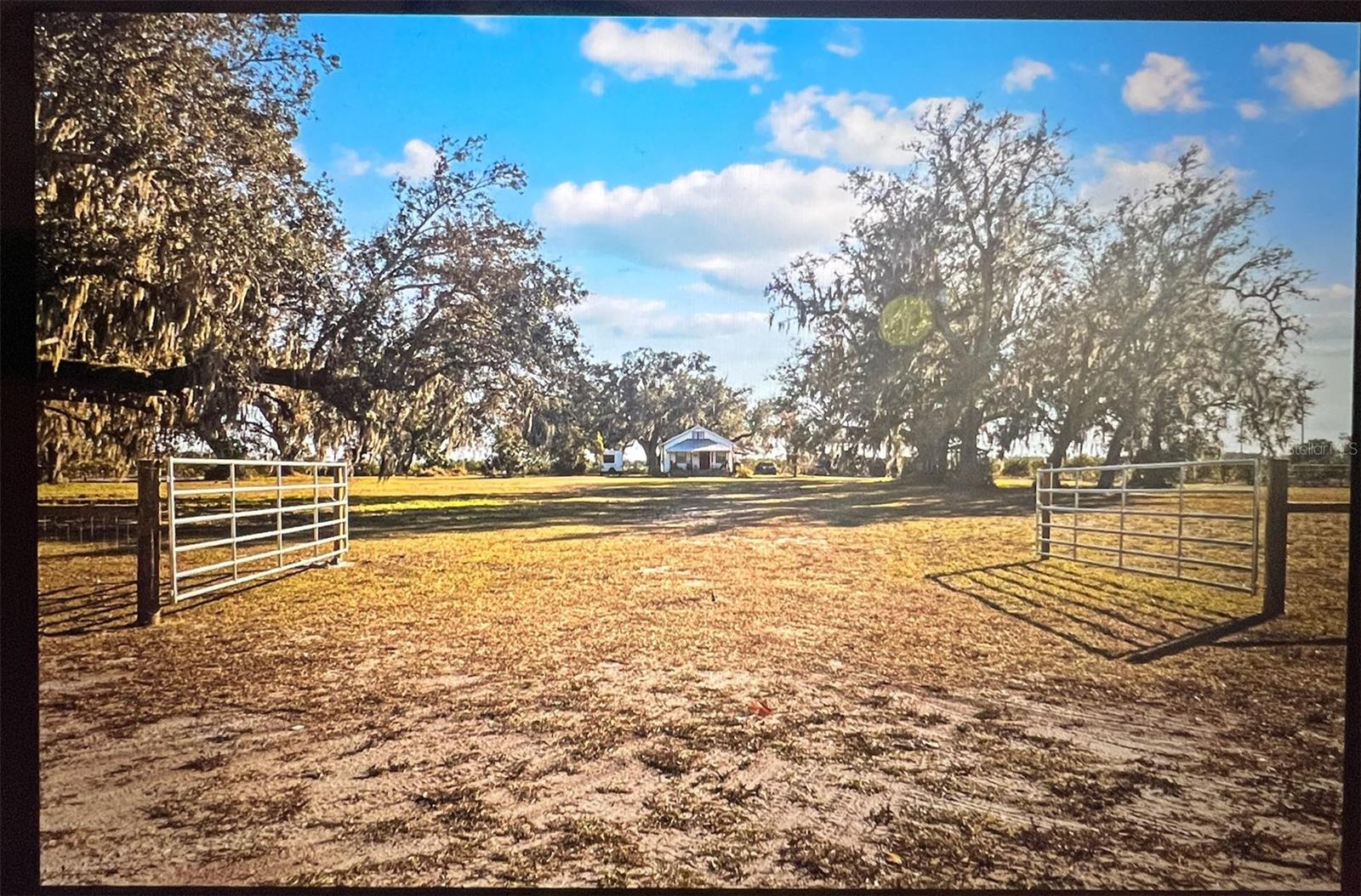 Single Family Residence in ARCADIA, FL - Daniel Dourado