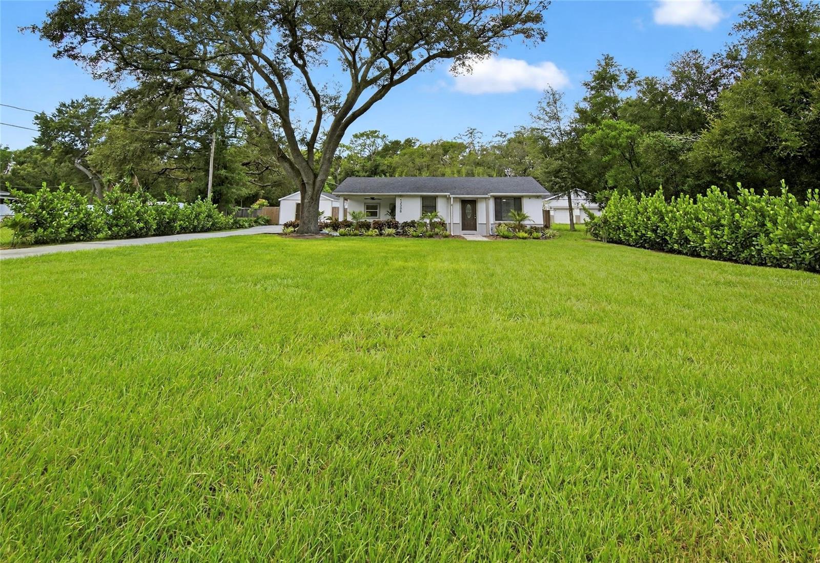 Single Family Residence in TEMPLE TERRACE, FL - Daniel Dourado