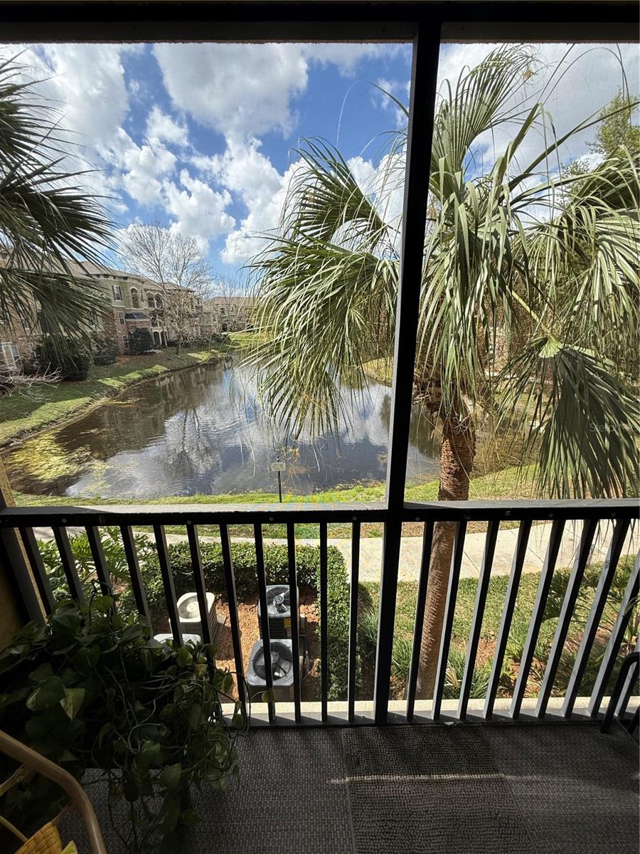 Condominium in TAMPA, FL - Daniel Dourado