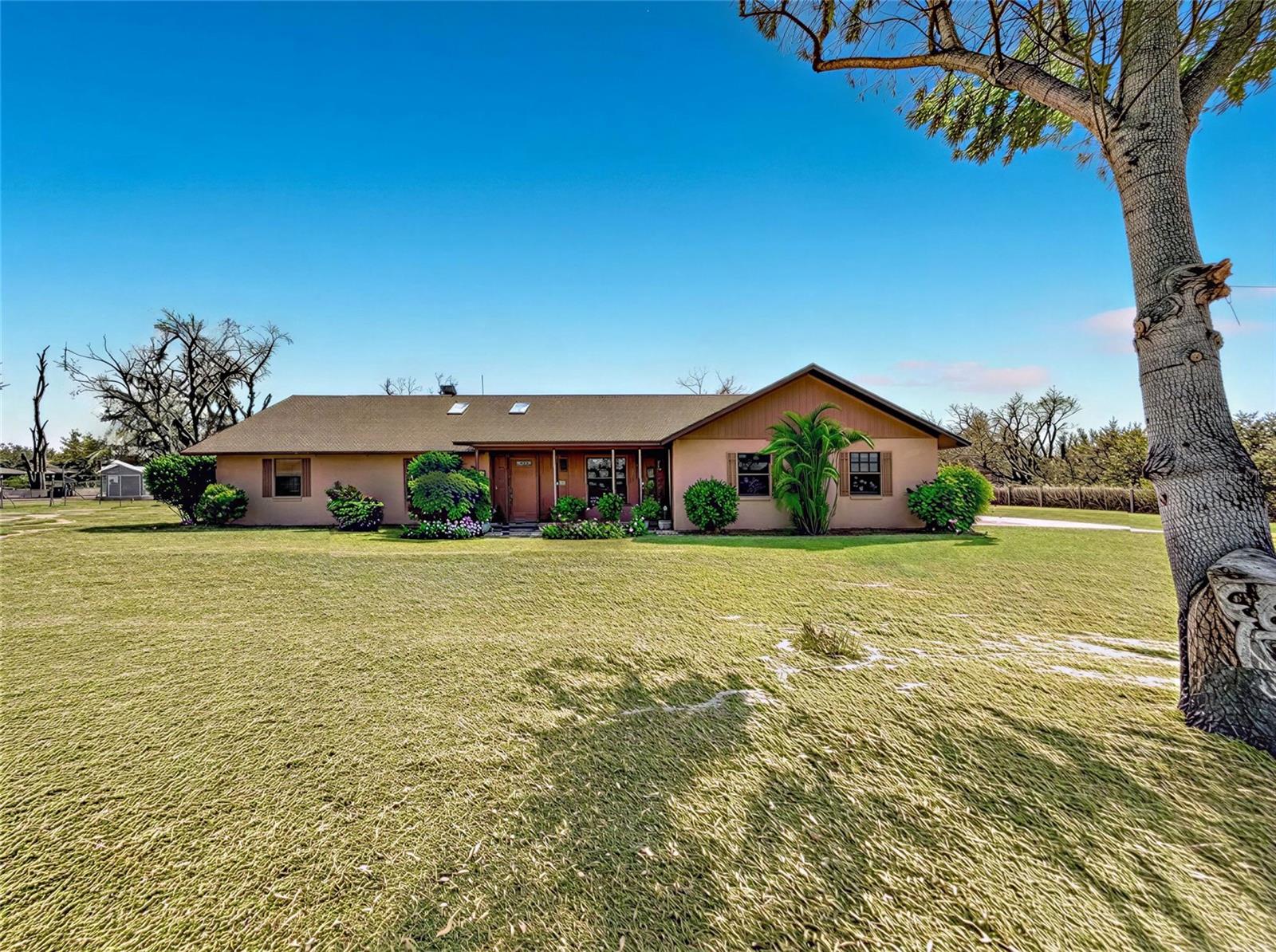 Single Family Residence in LITHIA, FL - Daniel Dourado