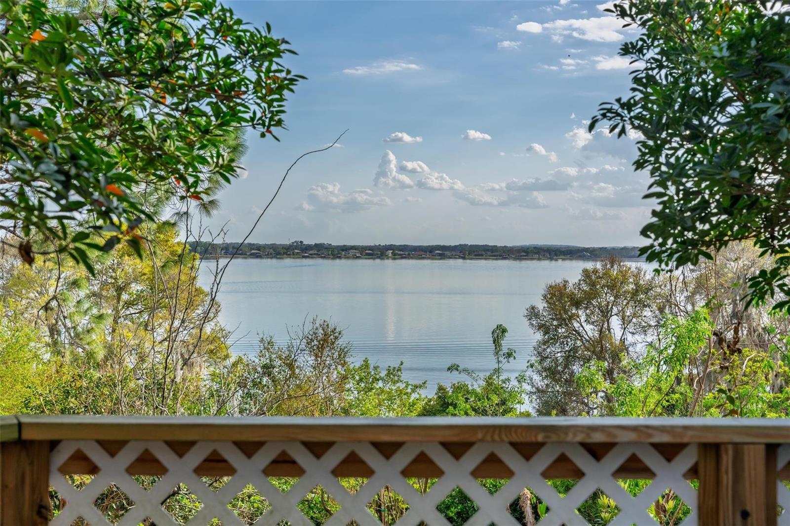 Single Family Residence in MOUNT DORA, FL - Daniel Dourado