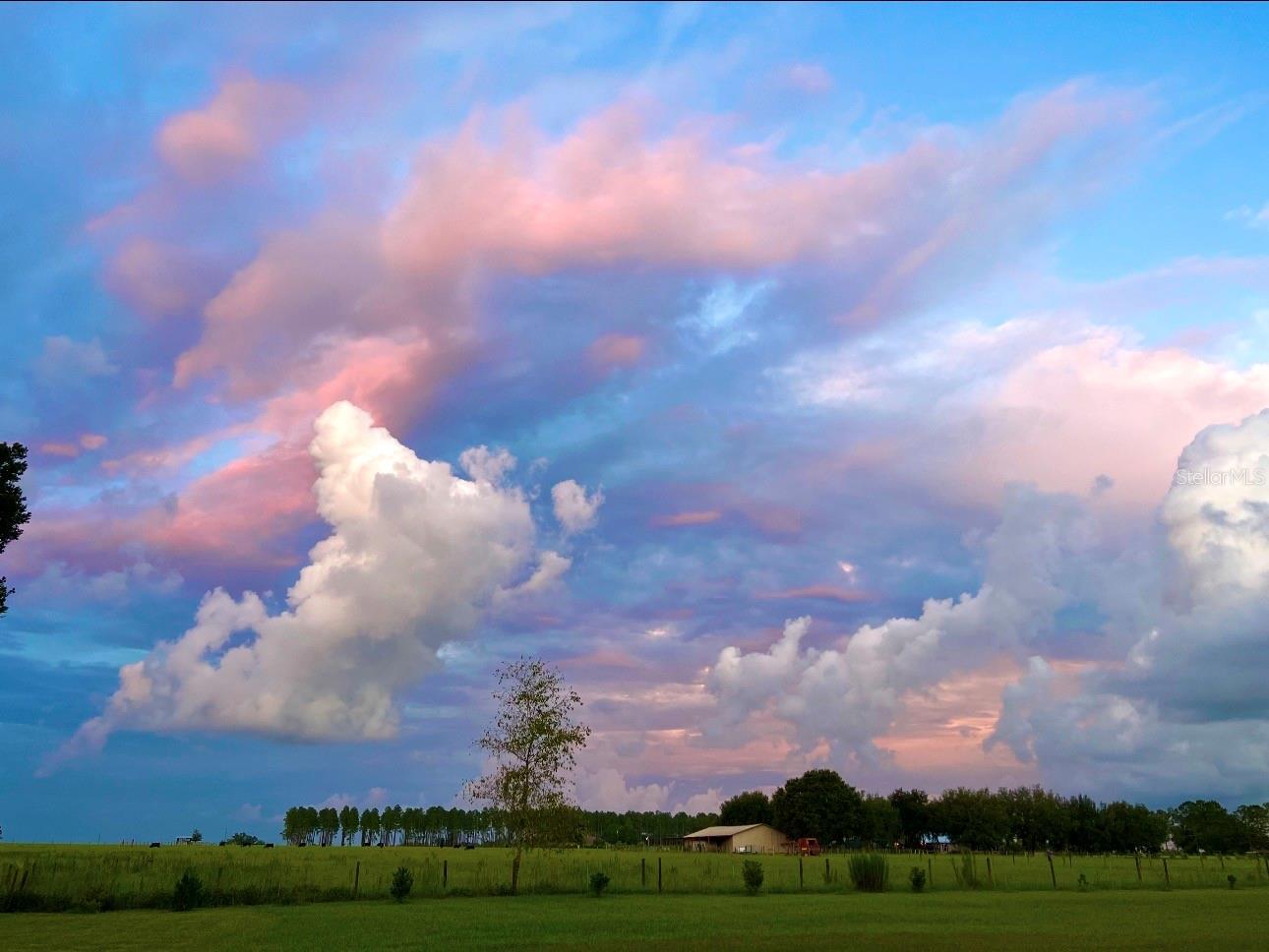 Single Family Residence em DADE CITY, FL - Daniel Dourado