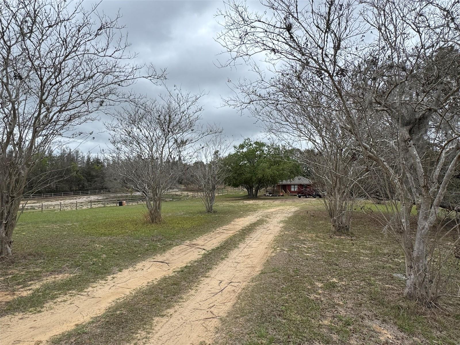 Single Family Residence em WINTER GARDEN, FL - Daniel Dourado