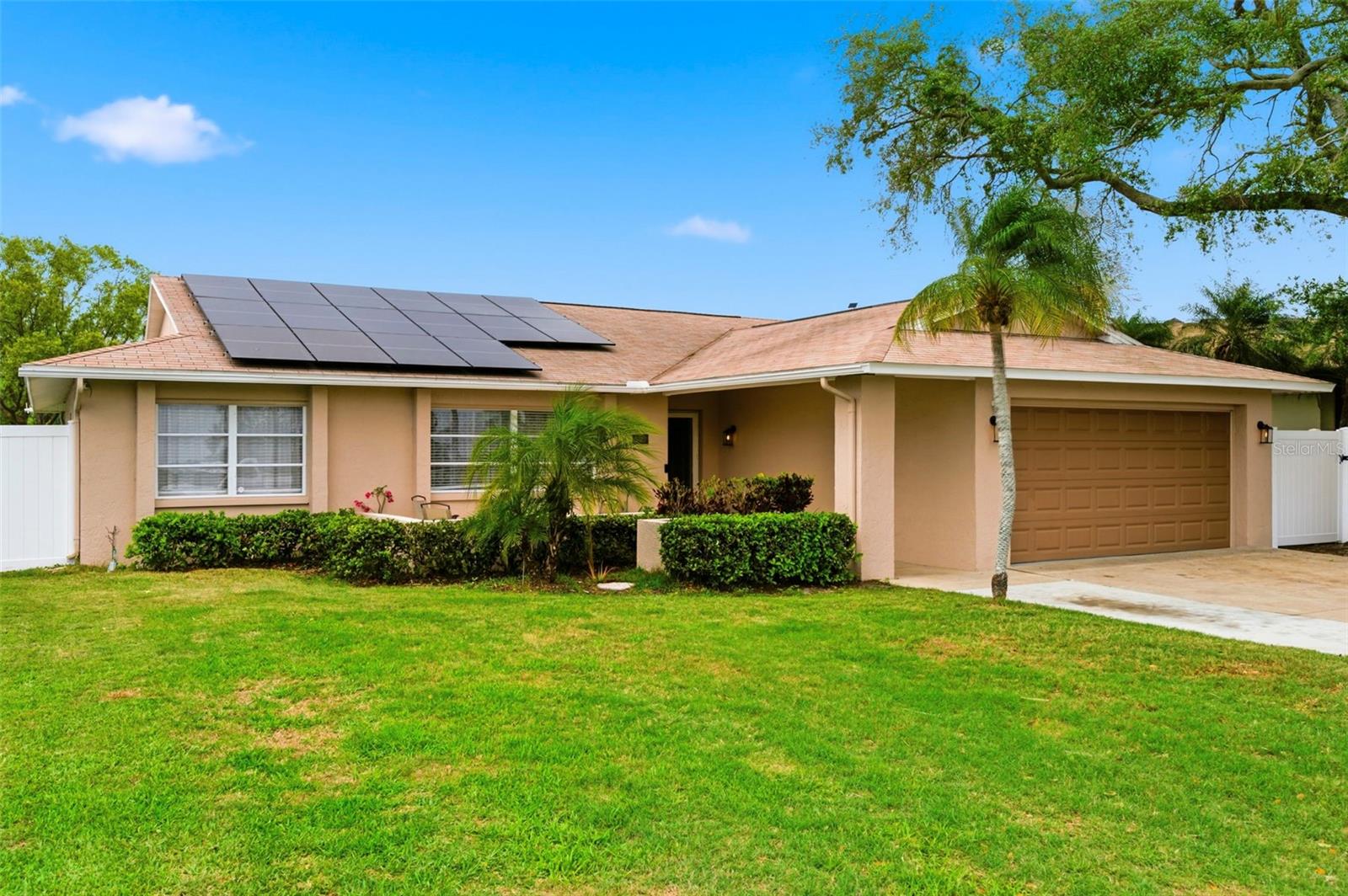 Single Family Residence em HOLIDAY, FL - Daniel Dourado