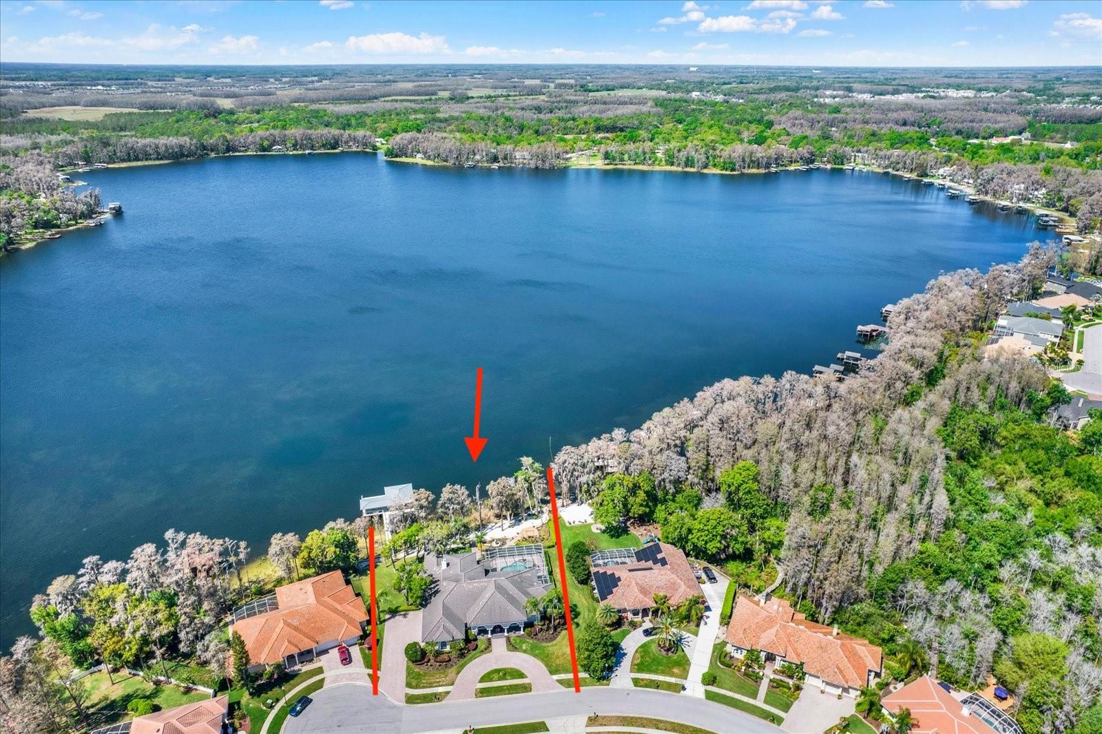 Single Family Residence in LAND O LAKES, FL - Daniel Dourado