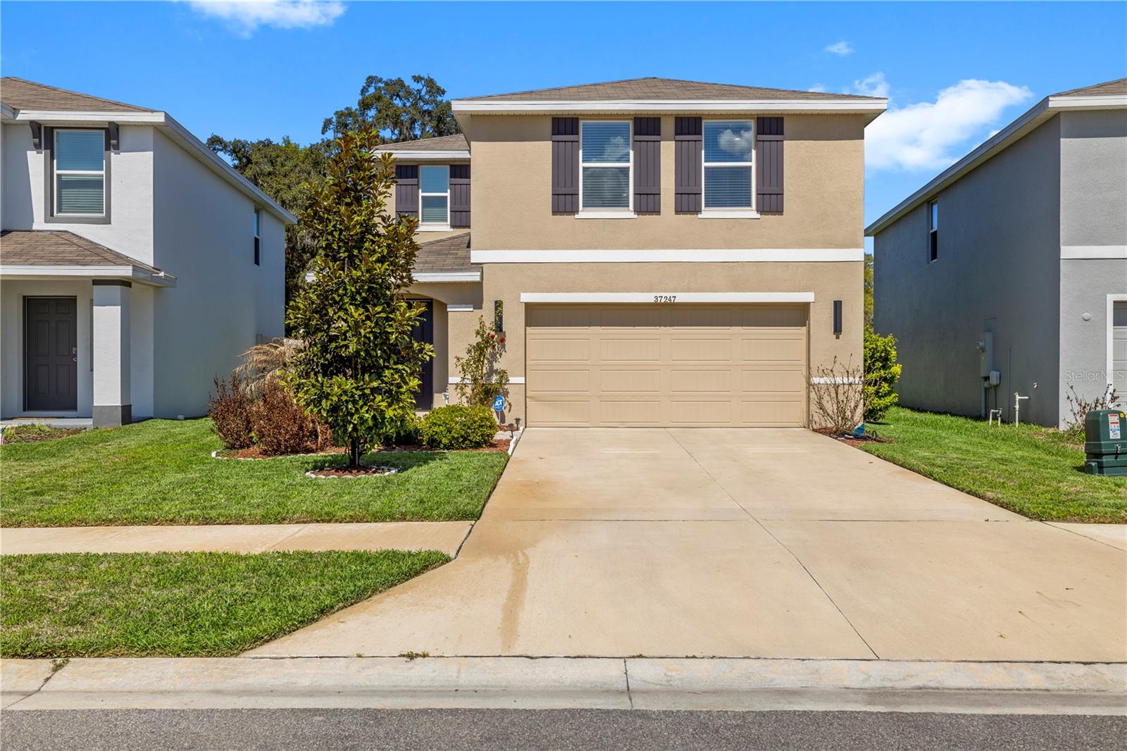 Single Family Residence em ZEPHYRHILLS, FL - Daniel Dourado