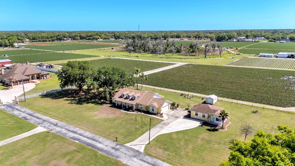 Single Family Residence in PLANT CITY, FL - Daniel Dourado