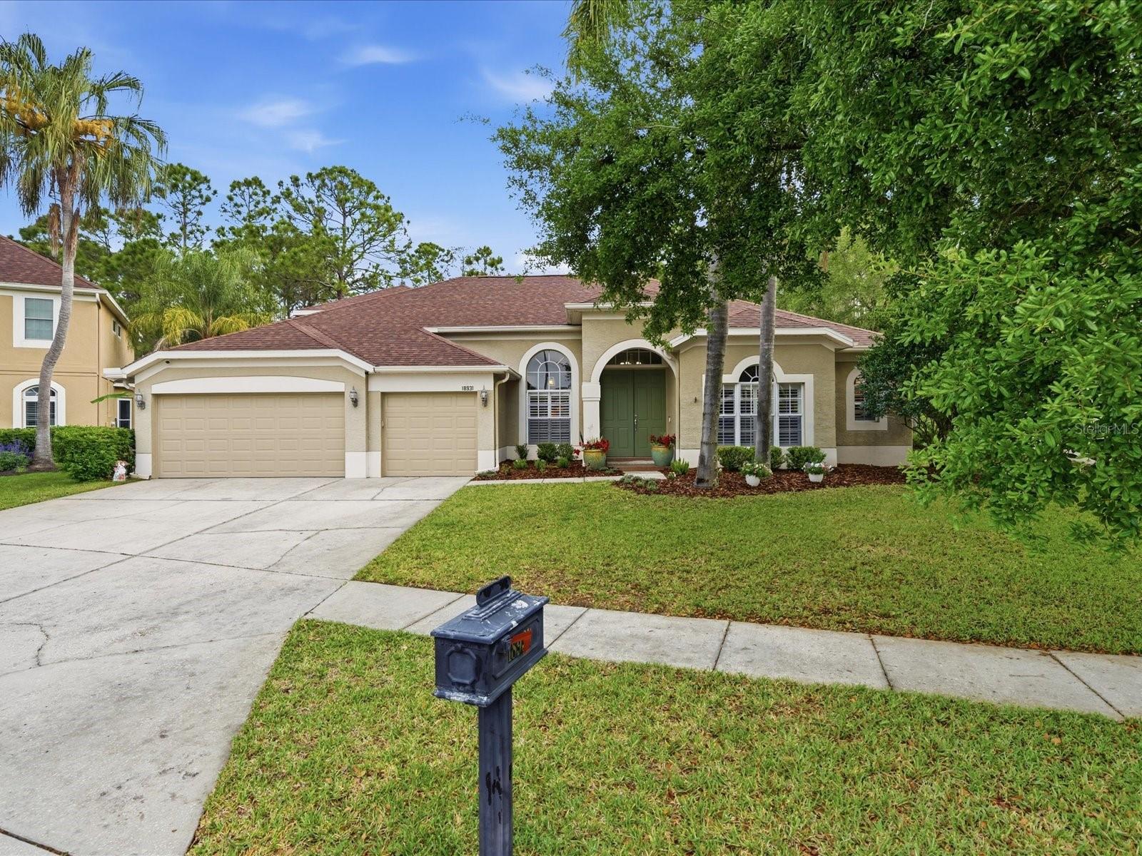 Single Family Residence in LUTZ, FL - Daniel Dourado