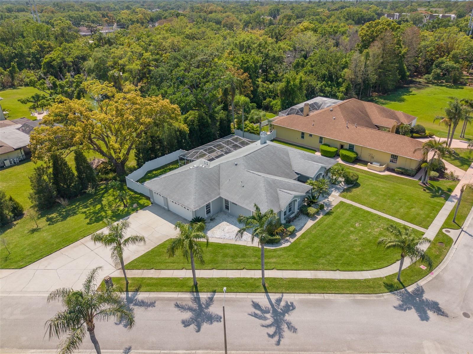 Single Family Residence in PALM HARBOR, FL - Daniel Dourado