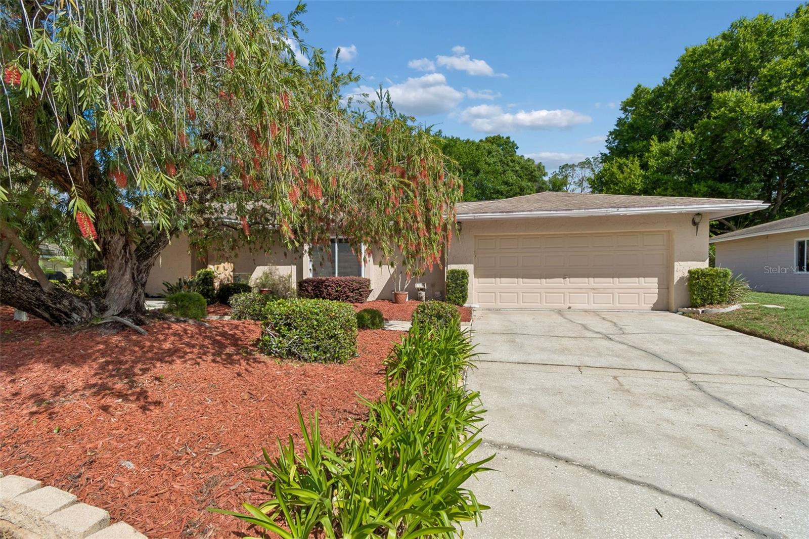 Single Family Residence in TAMPA, FL - Daniel Dourado