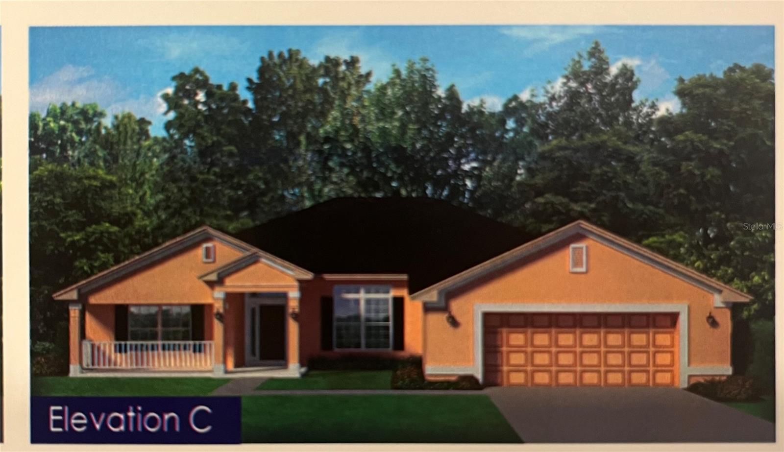 Single Family Residence in SUMMERFIELD, FL - Daniel Dourado