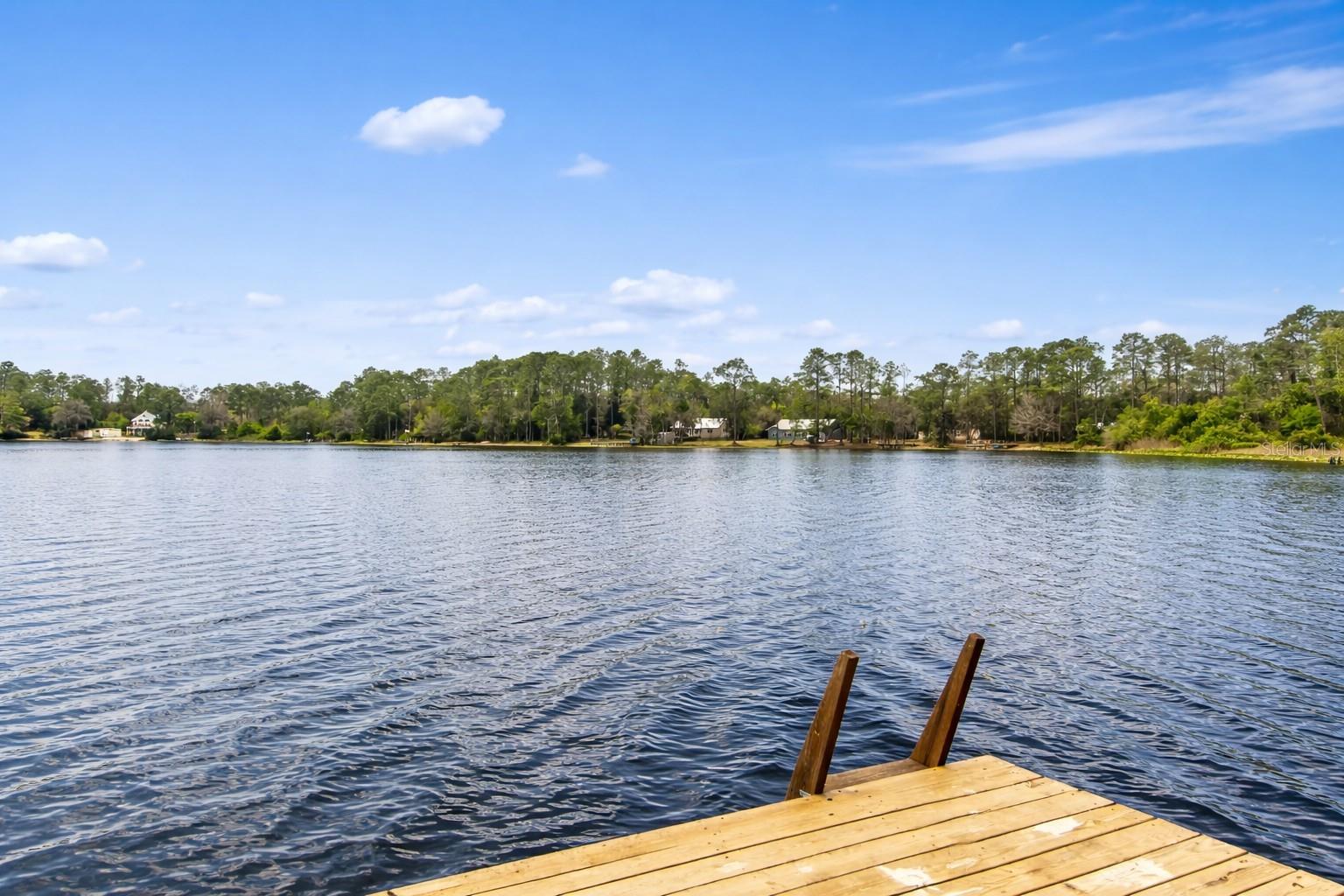Single Family Residence em HAWTHORNE, FL - Daniel Dourado