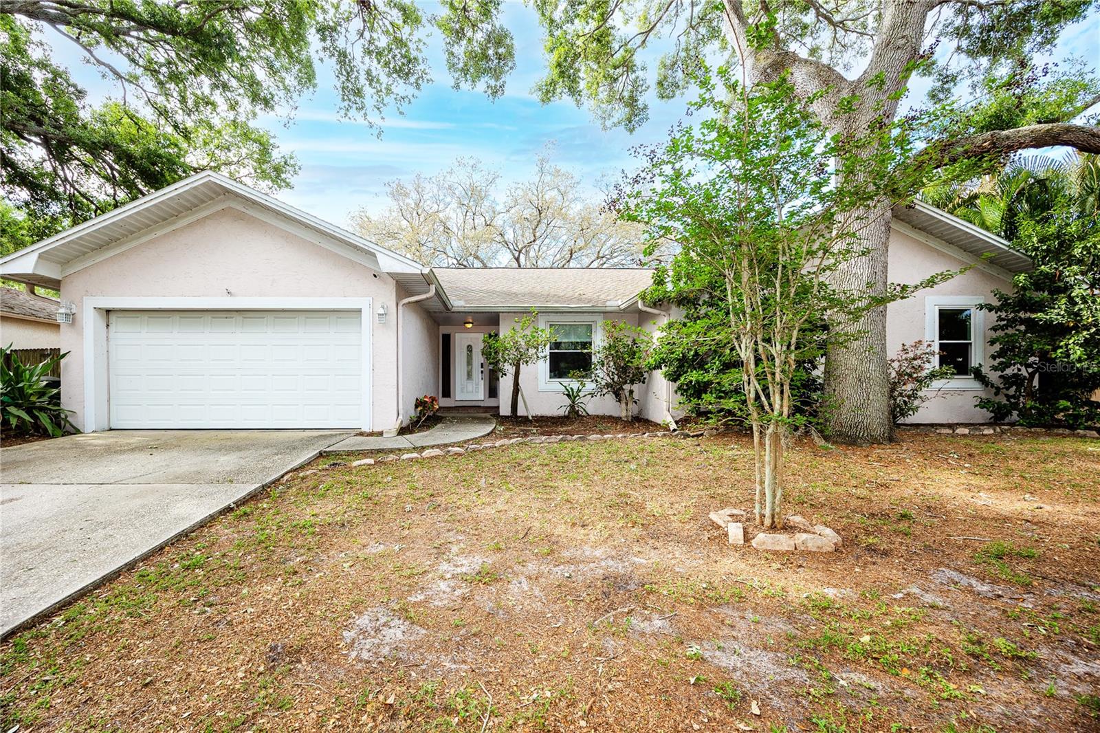 Single Family Residence in SAFETY HARBOR, FL - Daniel Dourado